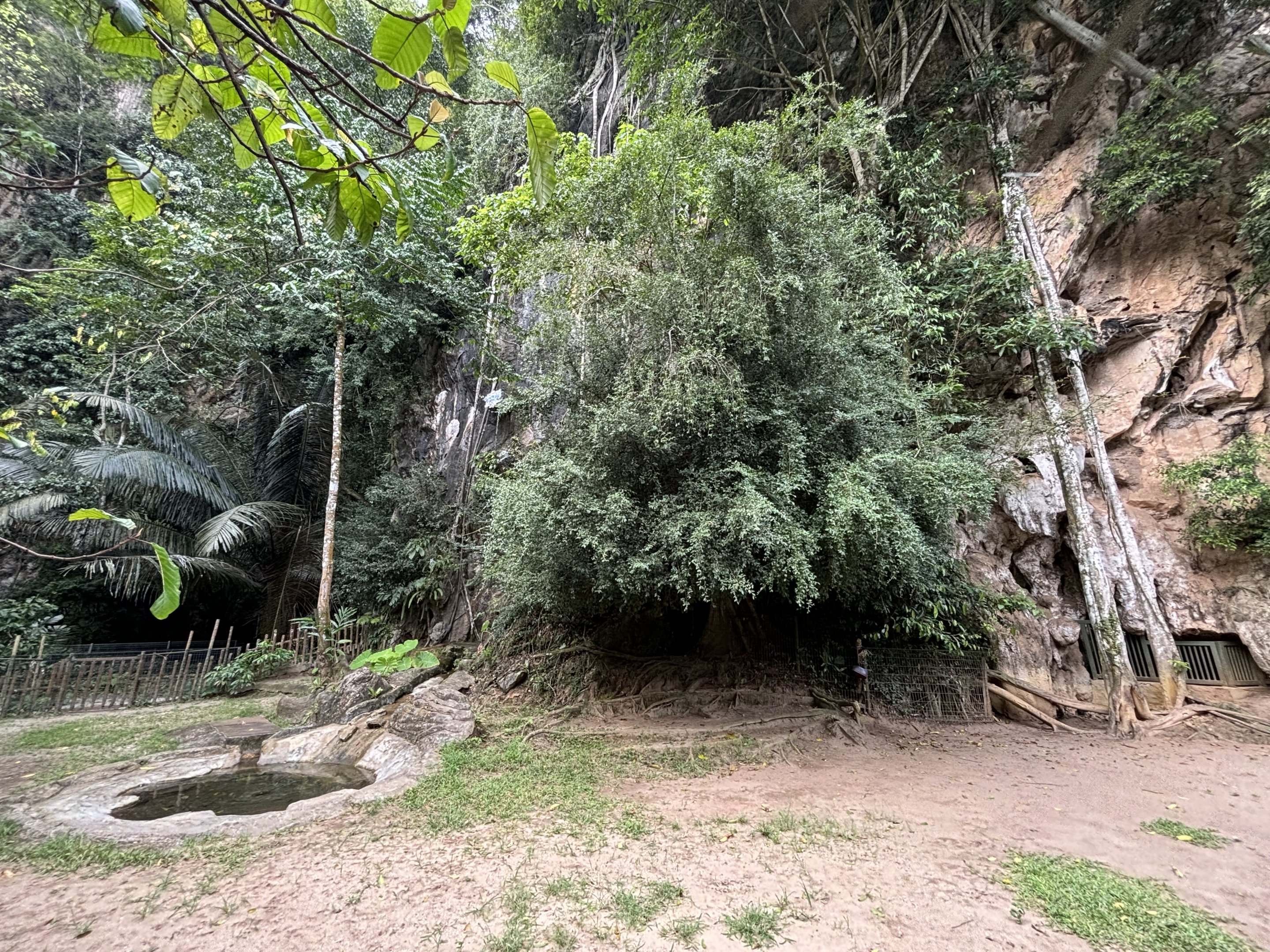Malayan Tapir Exhibit - Lost World of Tambun