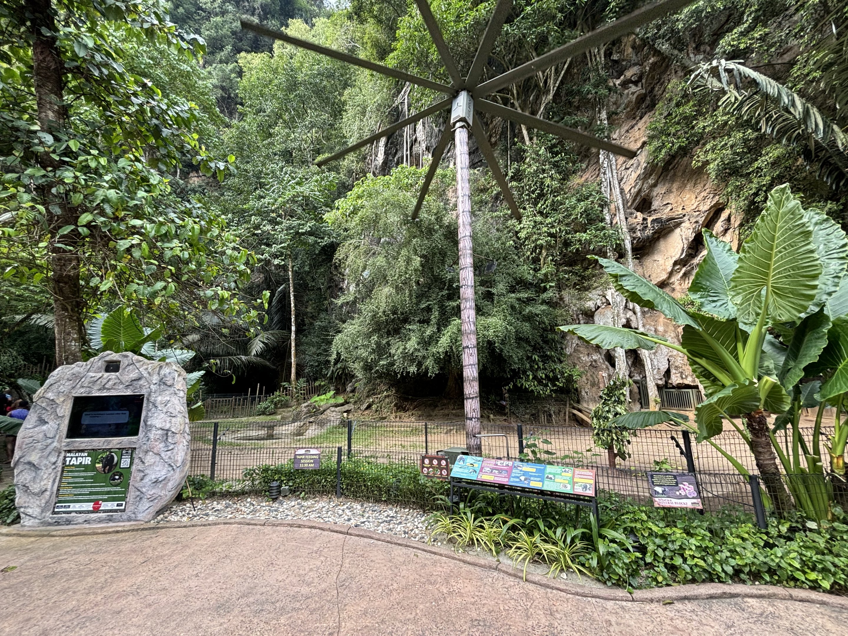 Malayan Tapir Exhibit - Lost World of Tambun