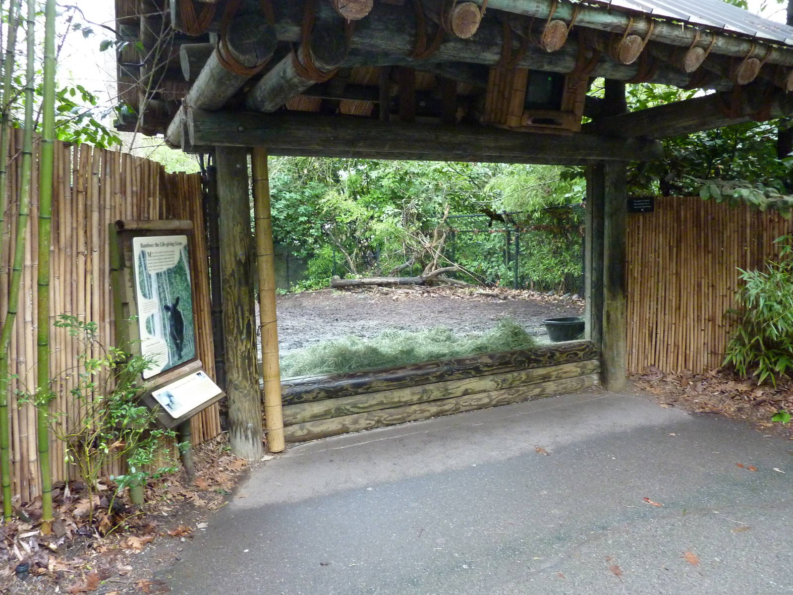 Malayan Tapir Exhibit - Viewing Window