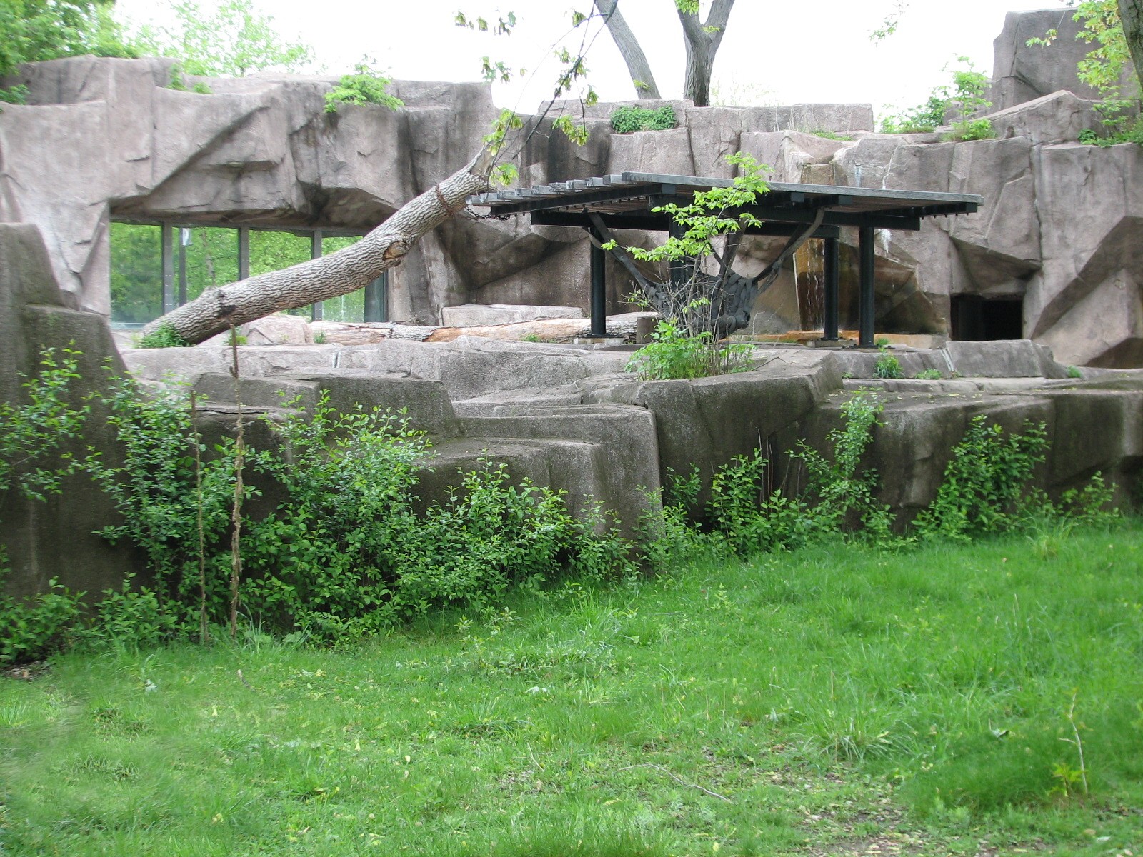 Malayan Tapir Exhibit with Asiatic Black Bear Exhibit in background