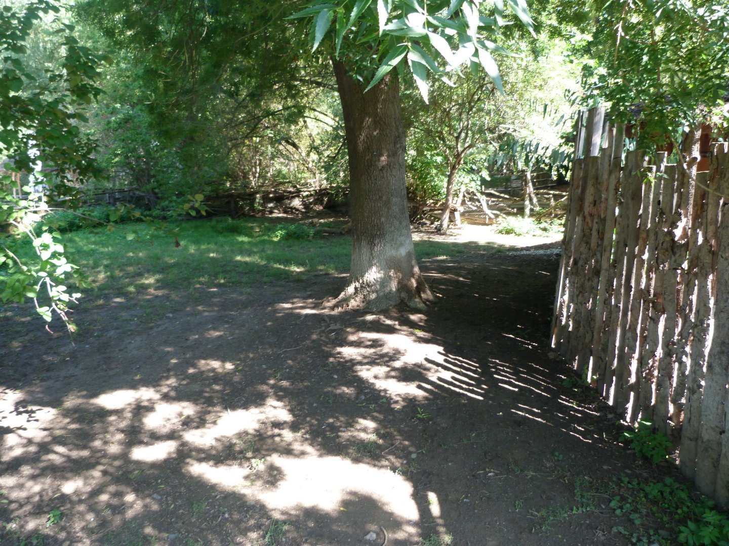 Malayan tapir exhibit -Zoo Praha (2025)