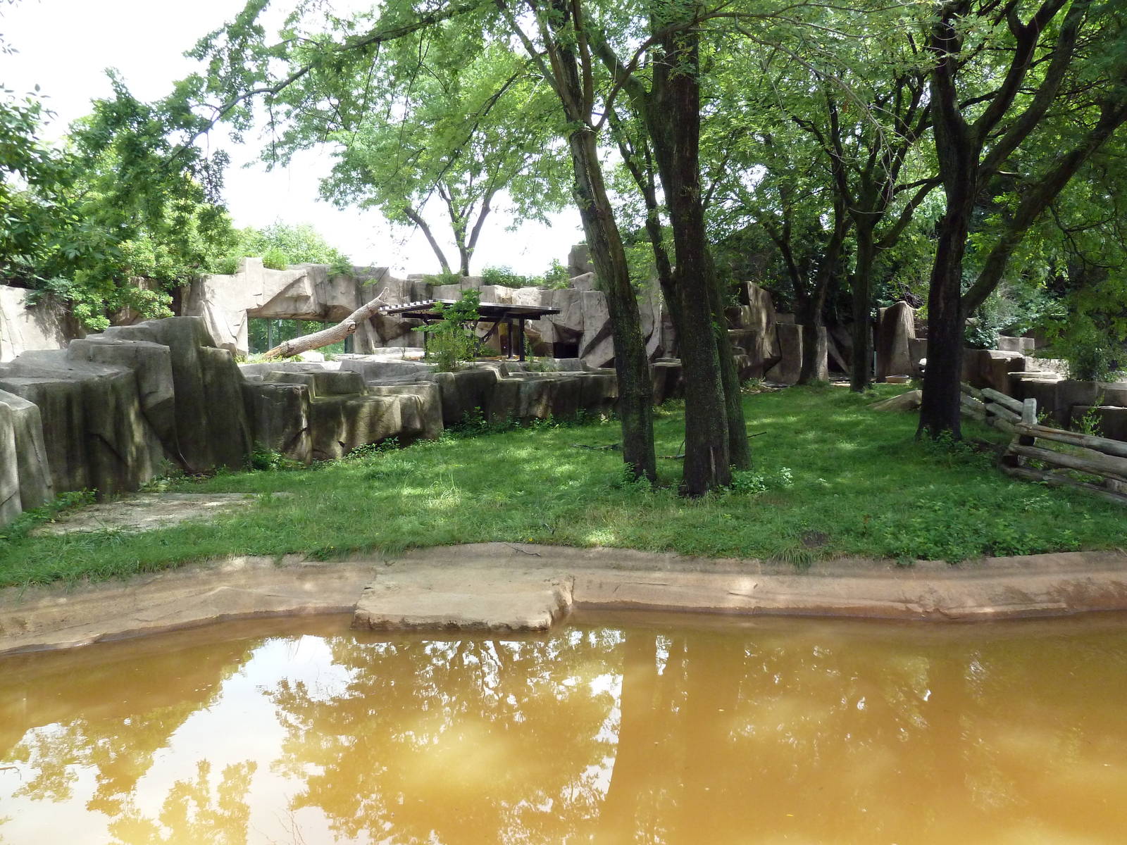 Malayan Tapir Exhibit