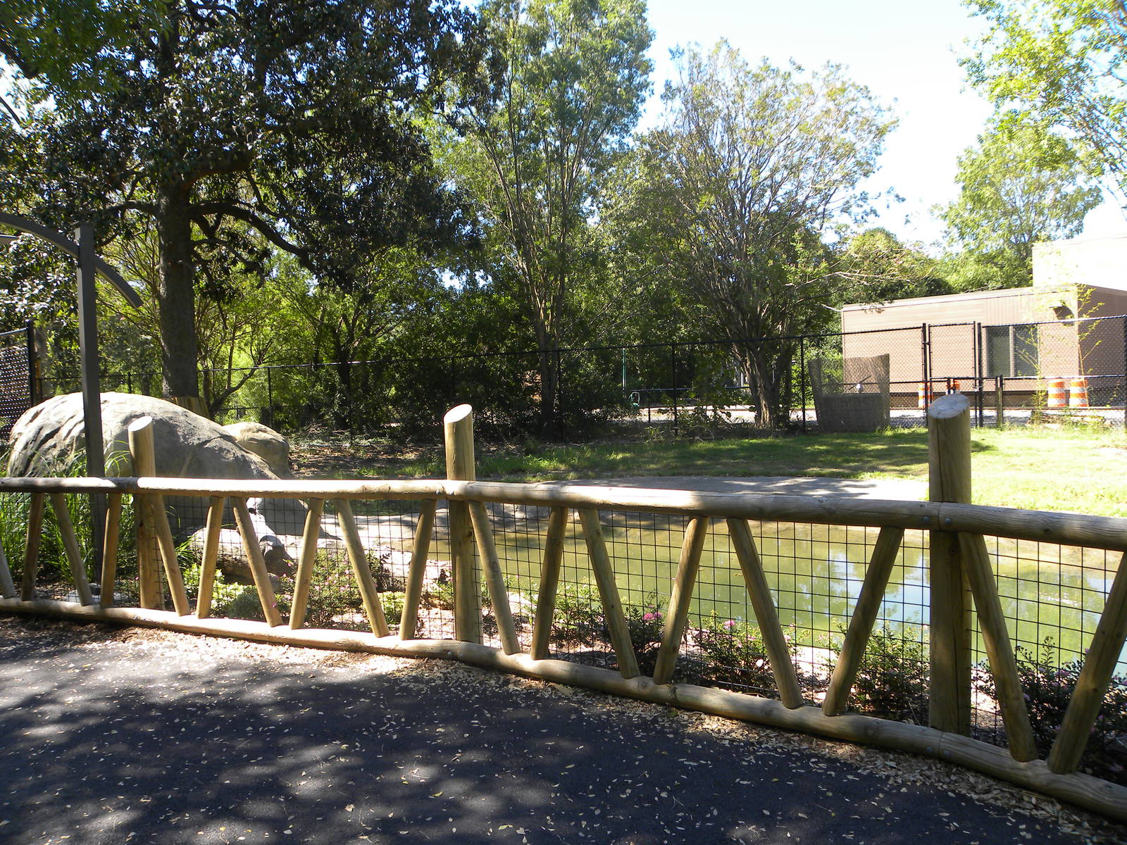 Malayan Tapir Exhibit