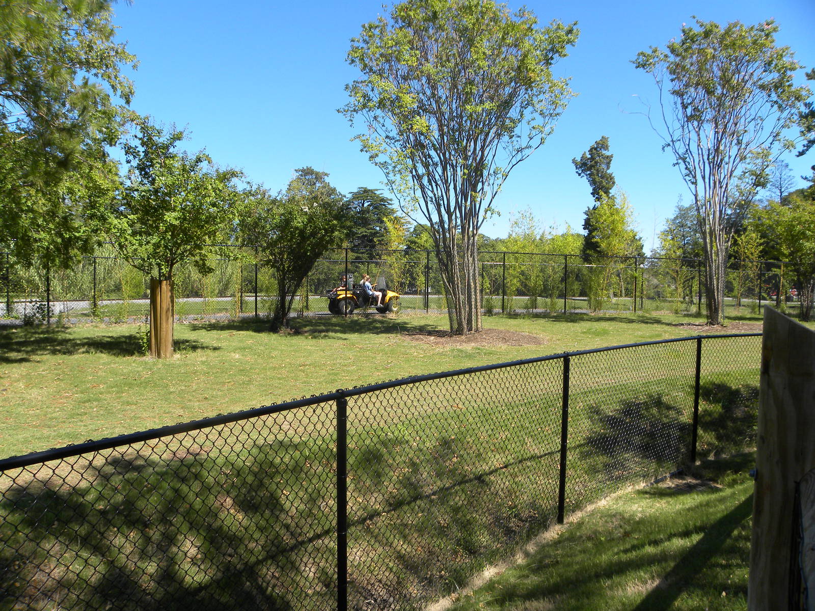 Malayan Tapir Exhibit