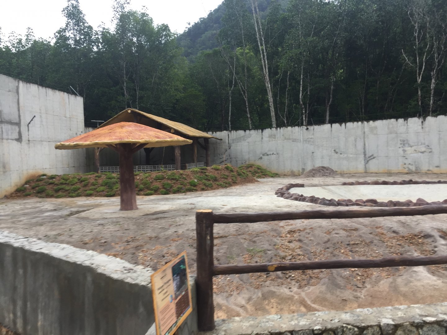 Malayan Tapir Exhibit