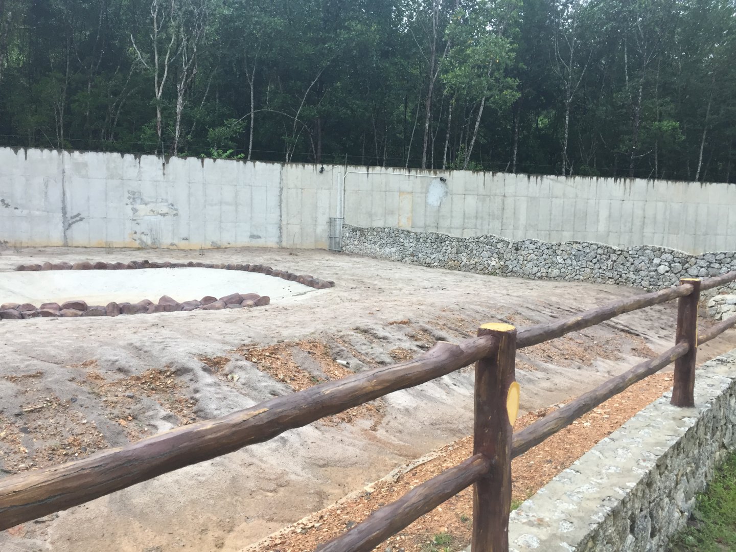 Malayan Tapir Exhibit