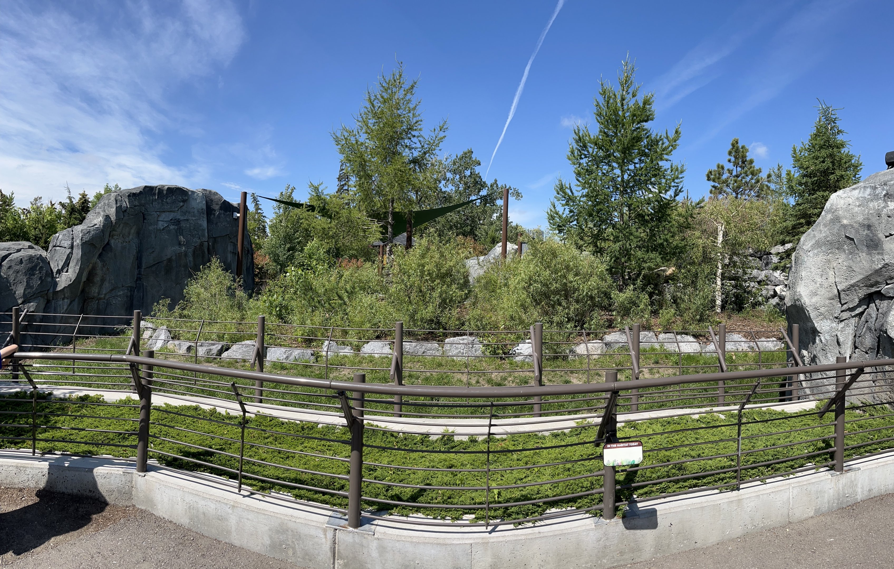 Malayan Tapir Exhibit