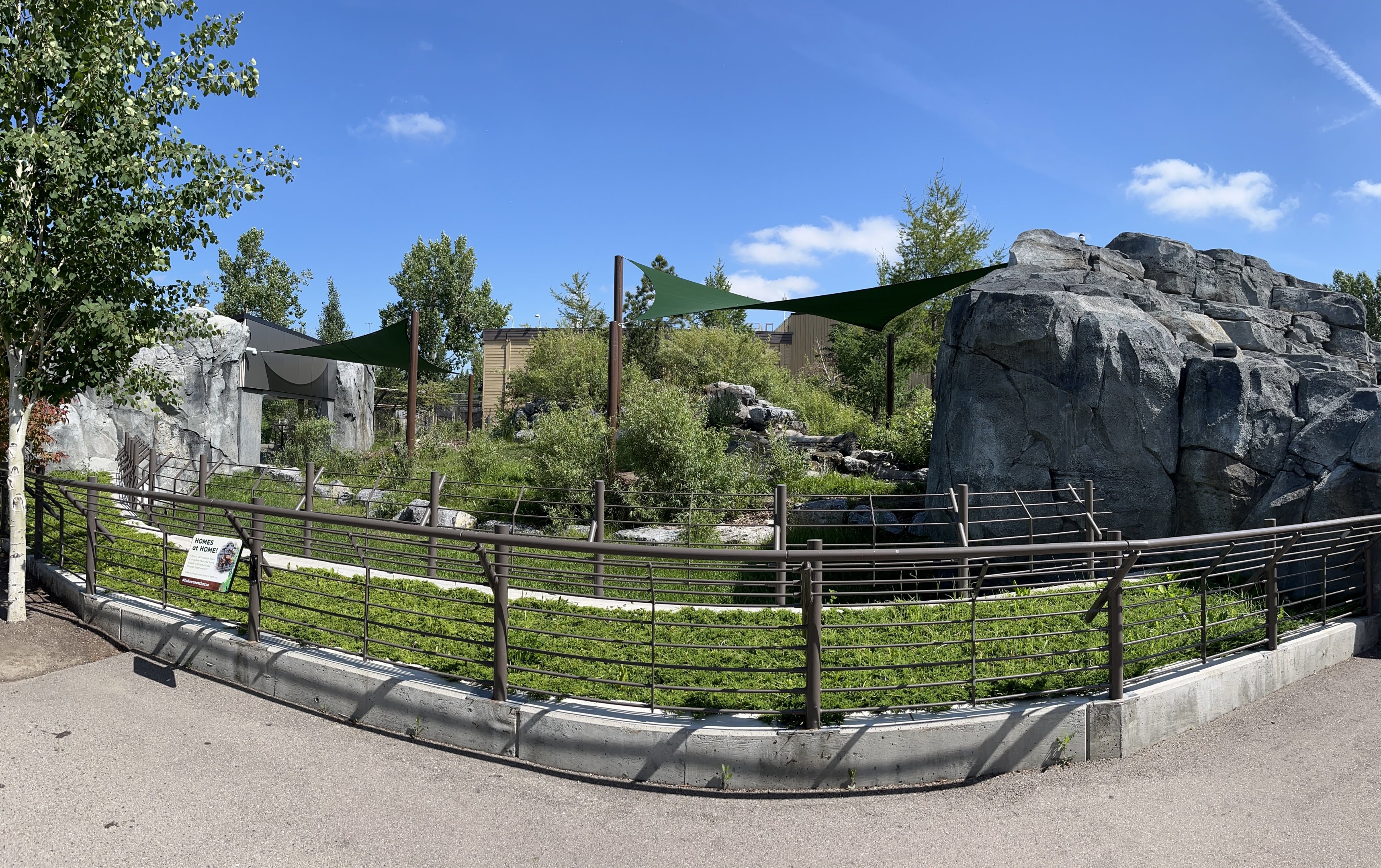 Malayan Tapir Exhibit