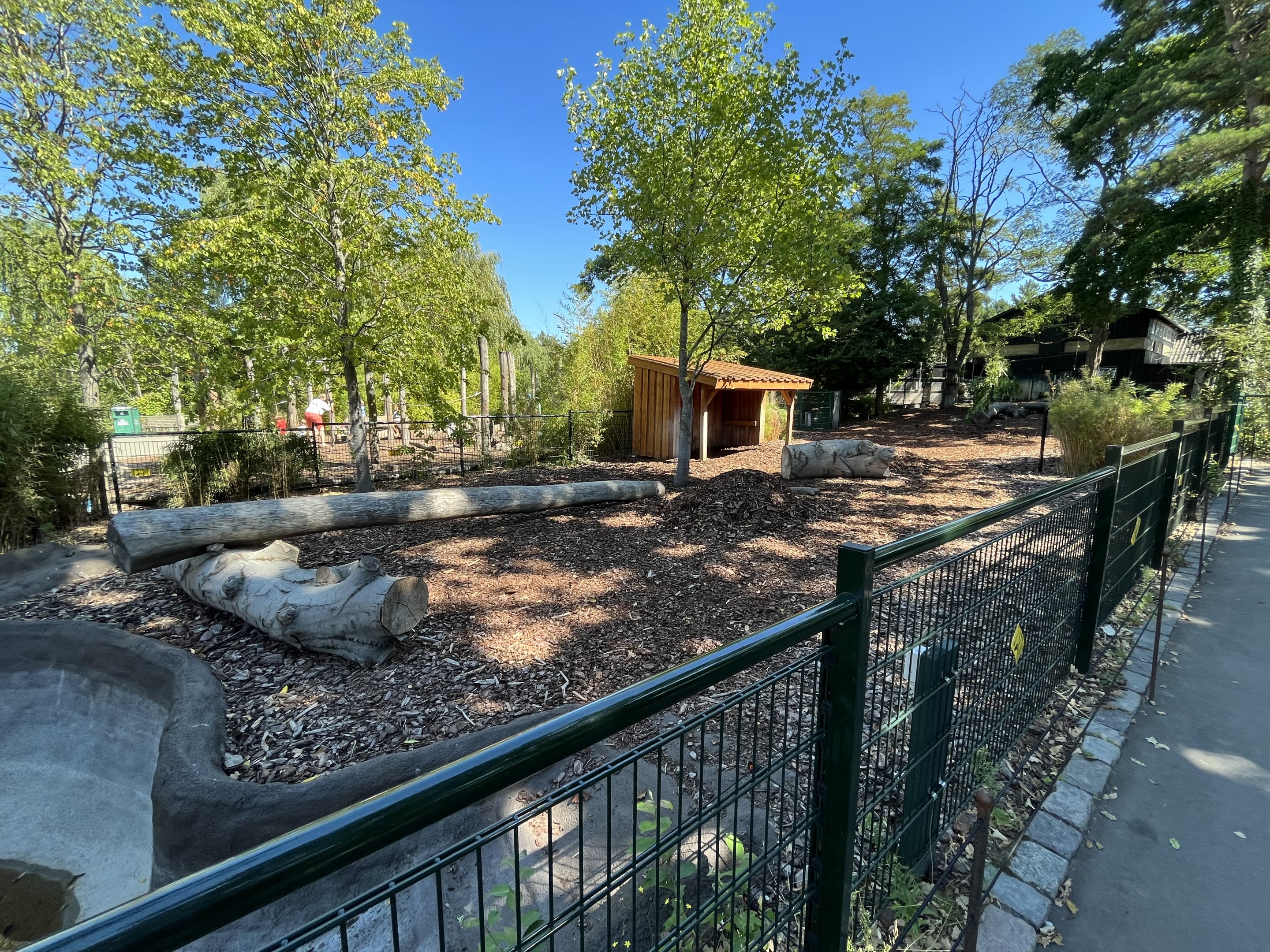 Malayan Tapir Exhibit