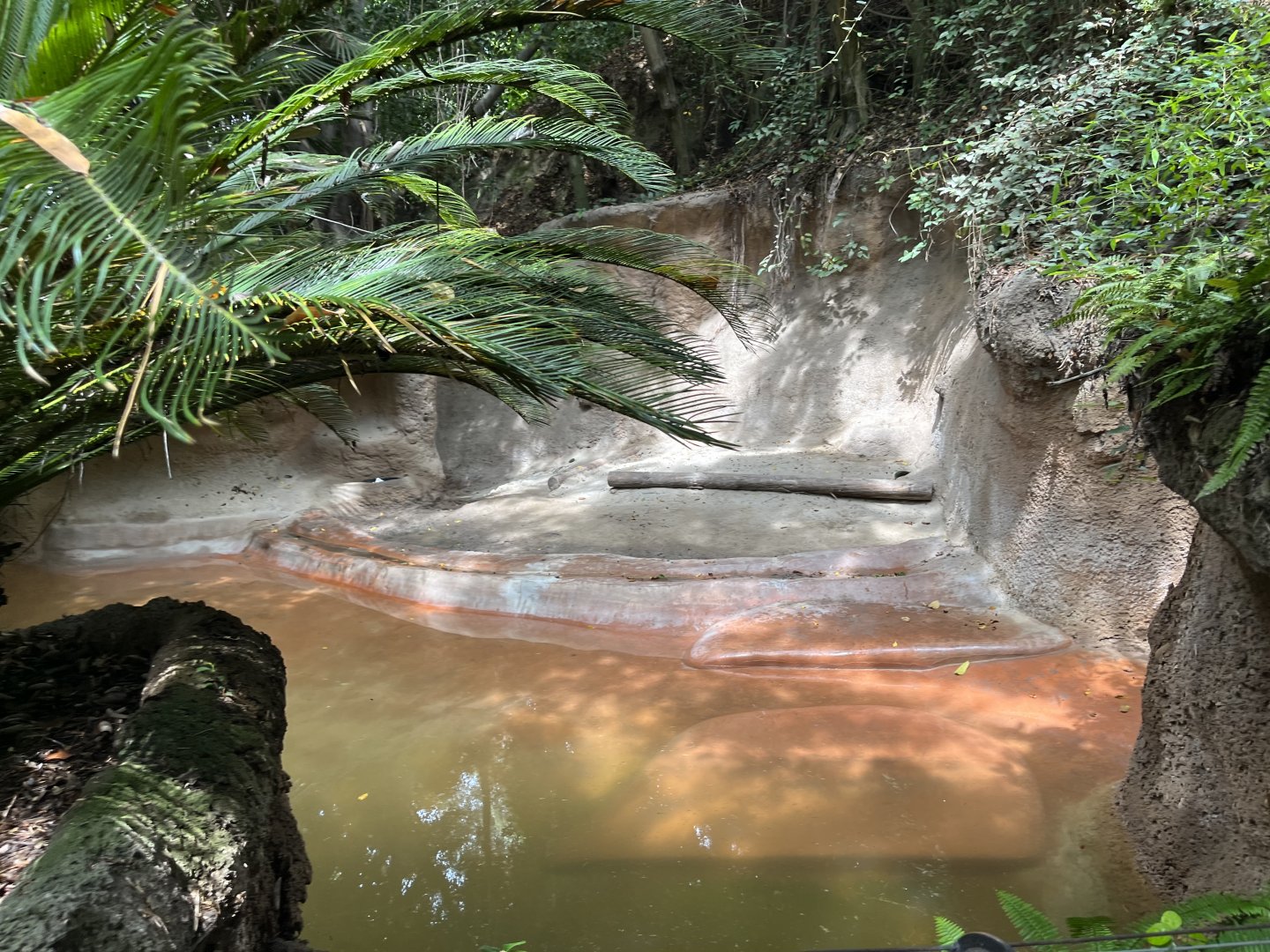 Malayan Tapir Exhibit