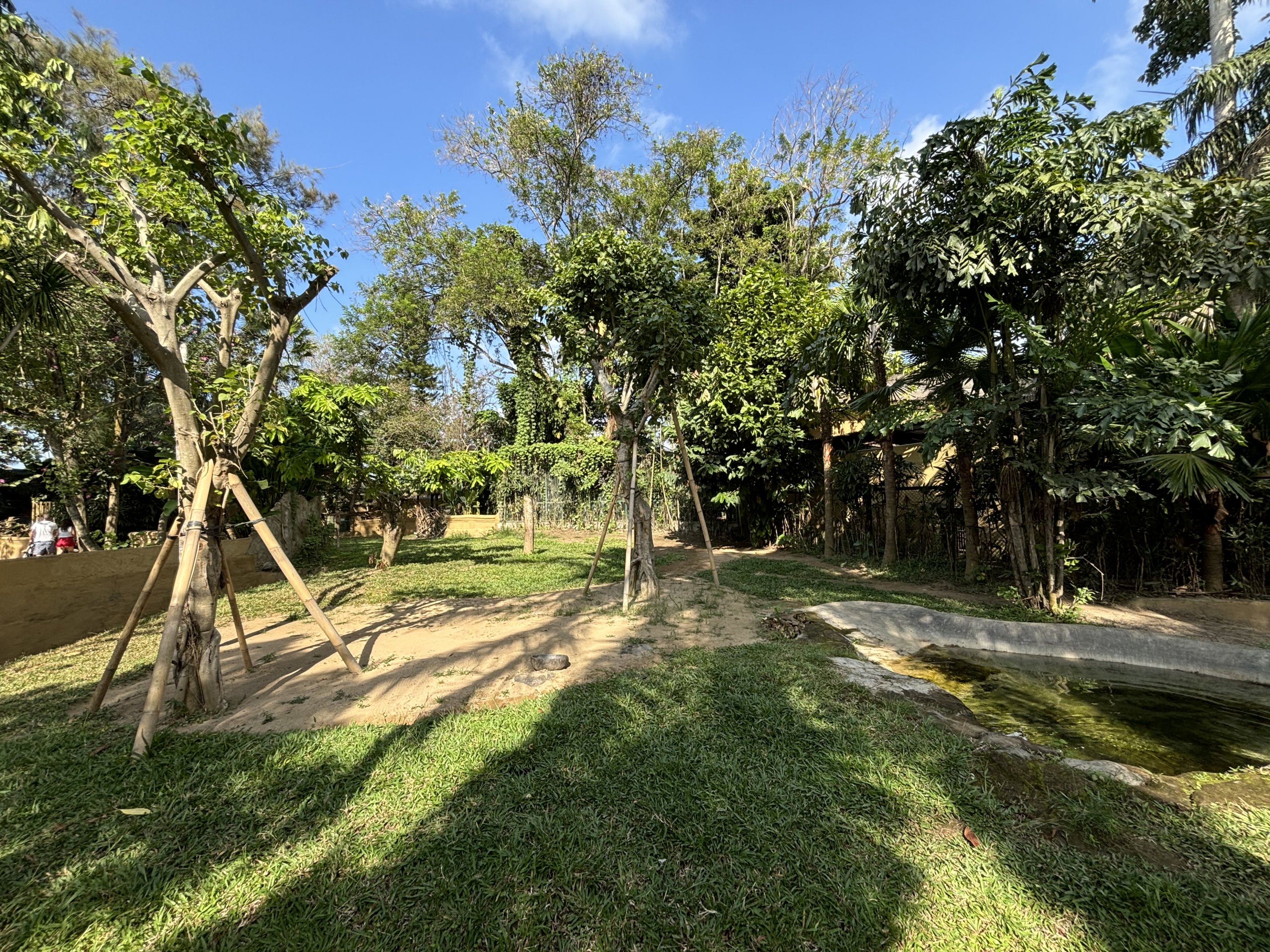 Malayan Tapir Exhibit