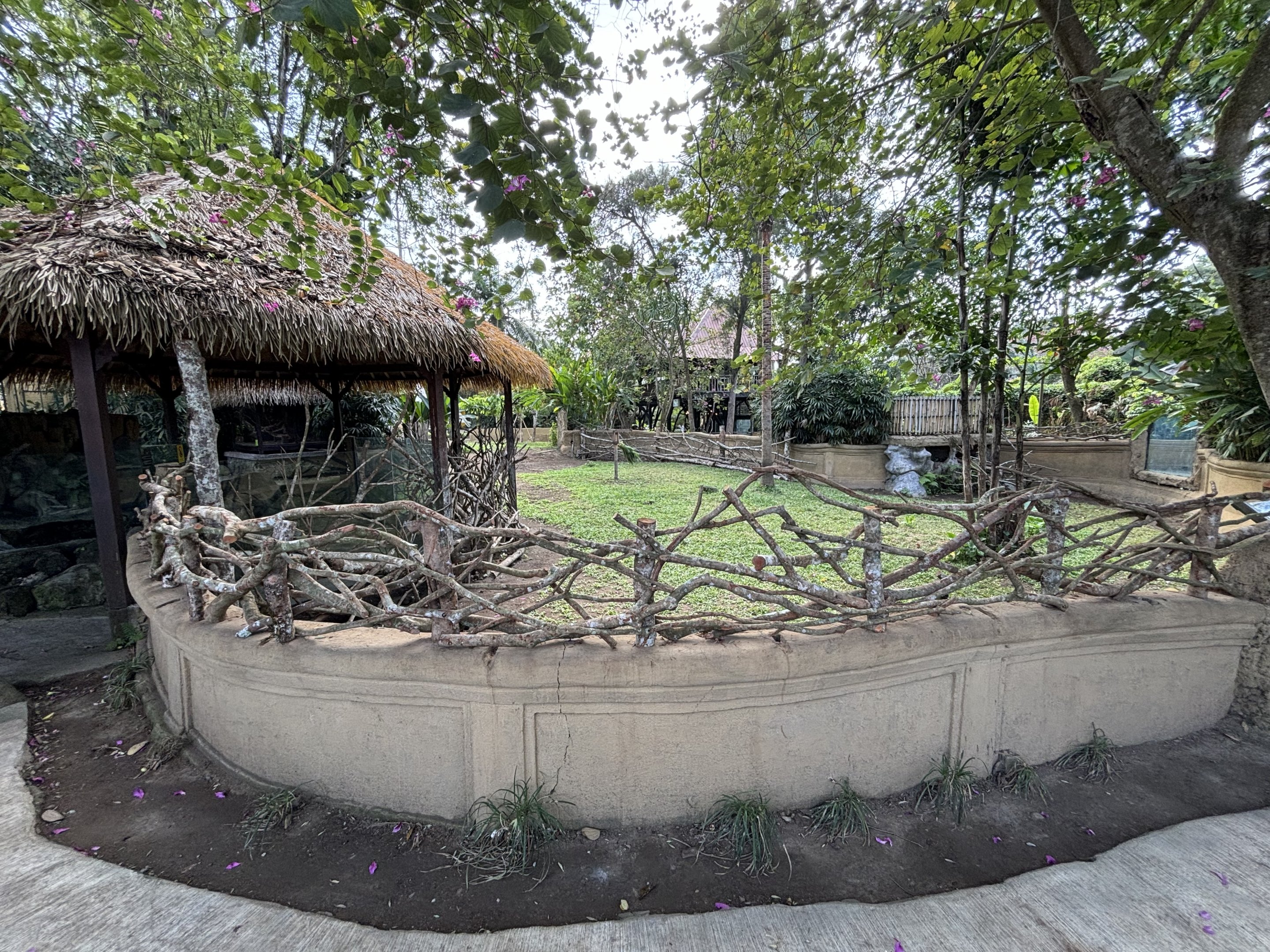 Malayan Tapir Exhibit