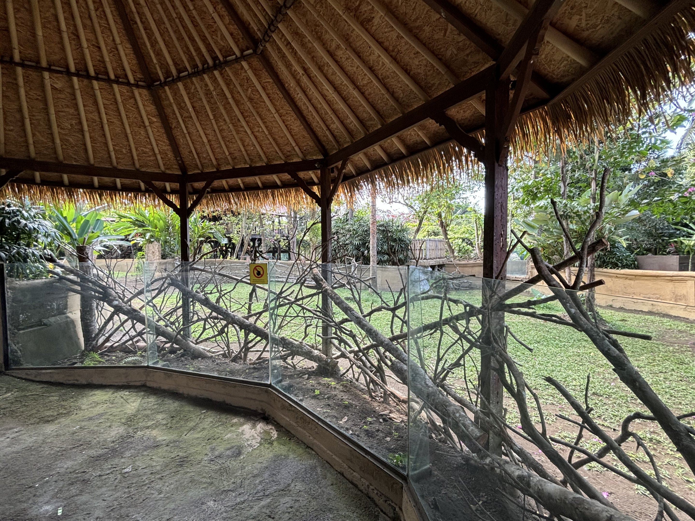 Malayan Tapir Exhibit