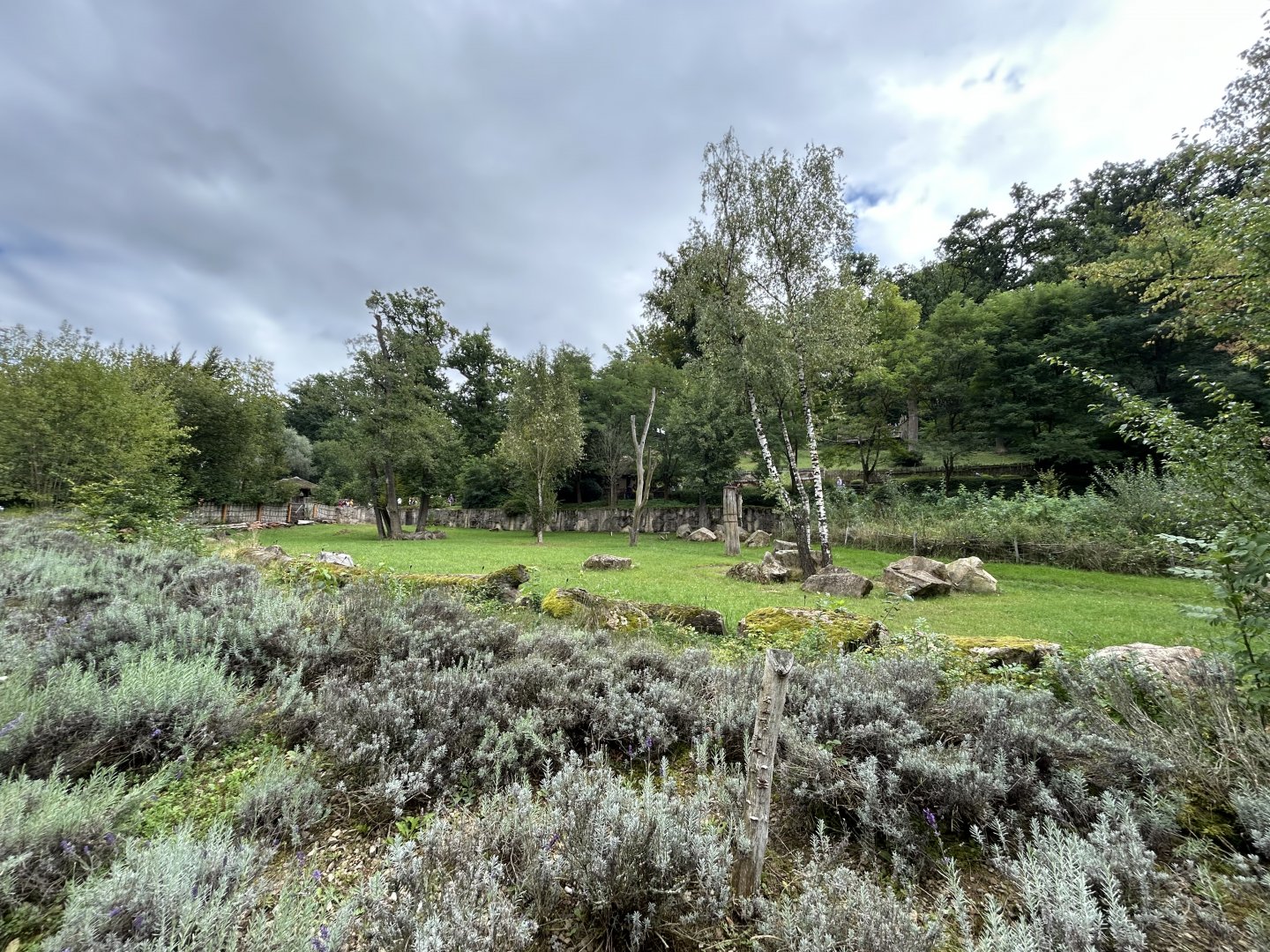 Malayan Tapir Exhibit