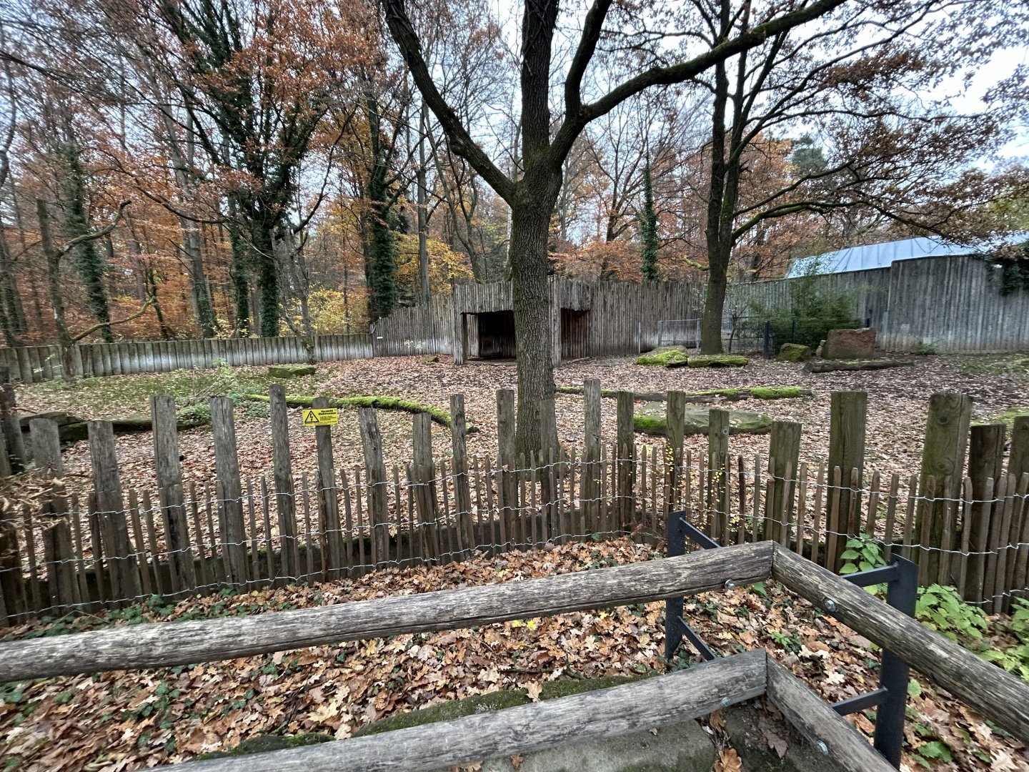 Malayan Tapir Exhibit