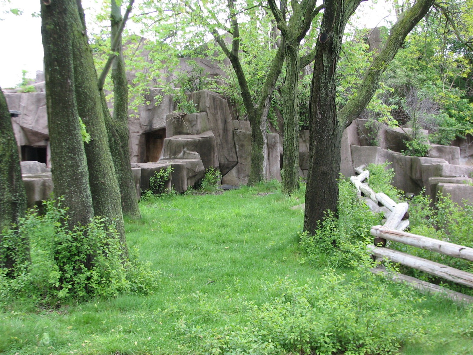 Malayan Tapir Exhibit