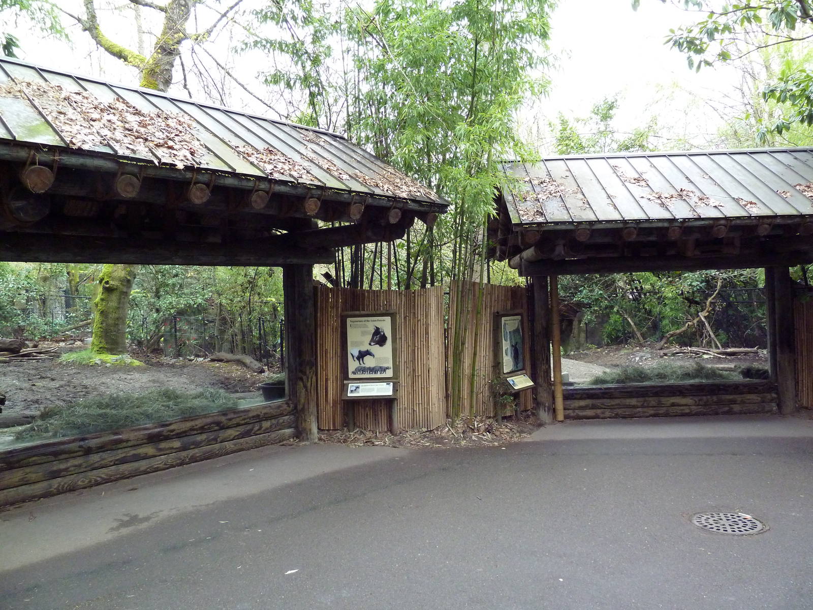 Malayan Tapir Exhibits - Viewing Windows