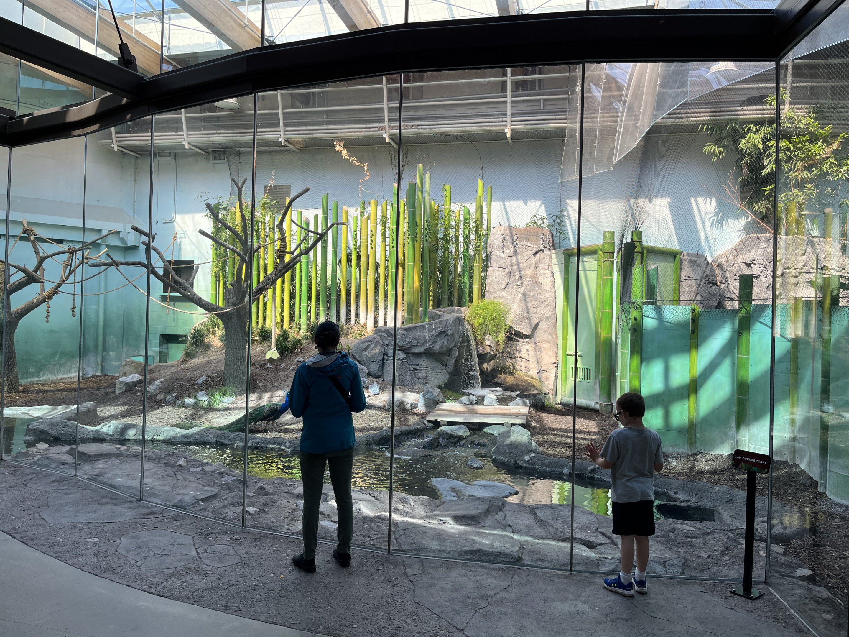 Malayan Tapir/Gibbon Indoor Exhibit