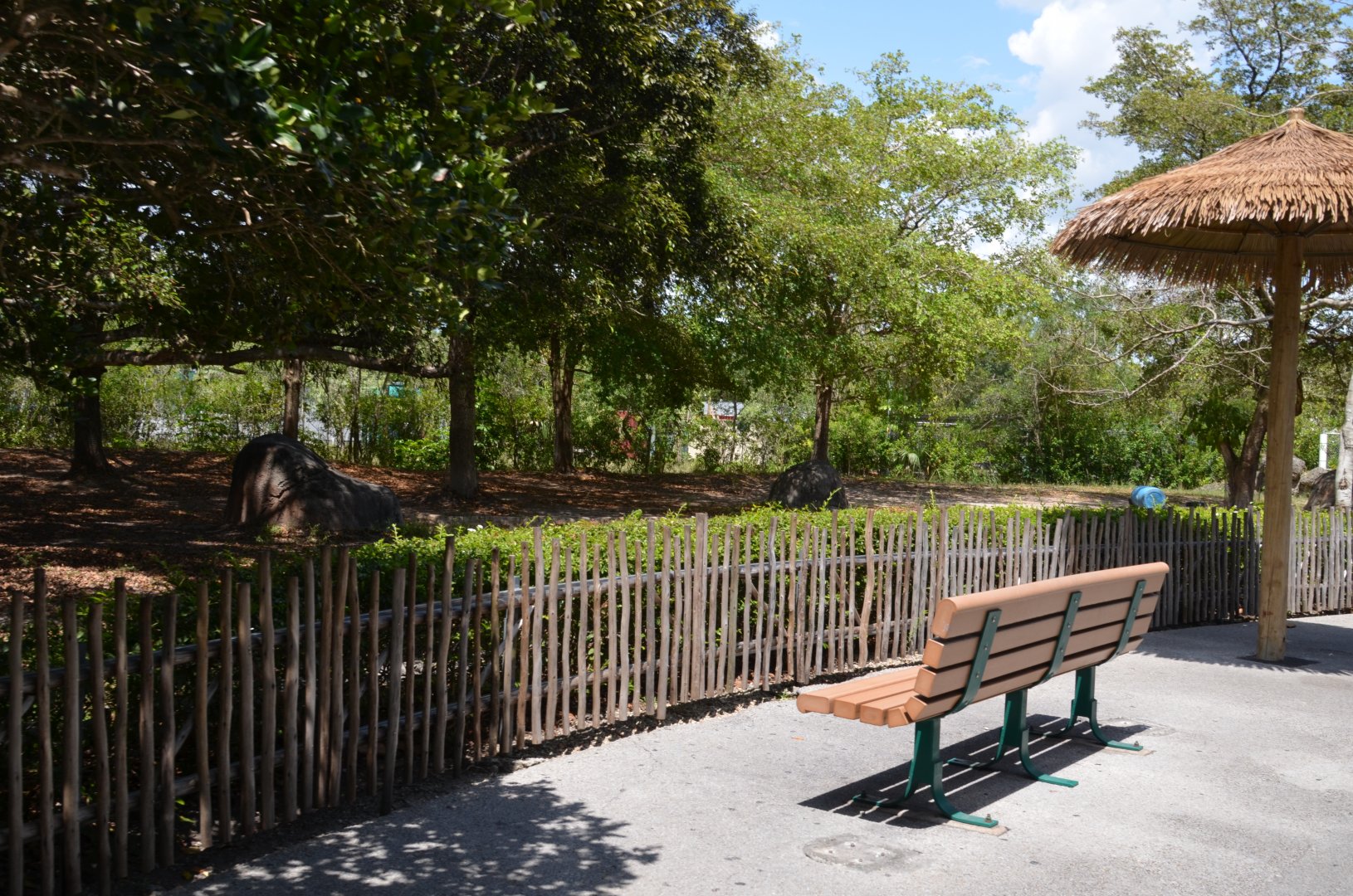 Malayan Tapir Habitat