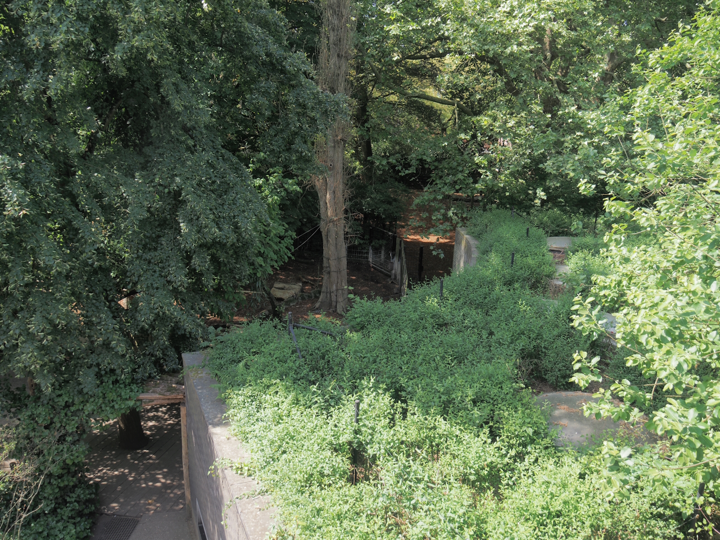 Malayan tapir house and exhibit seen from the access to the upper viewing area on top of the hippo house, 2025-05-14