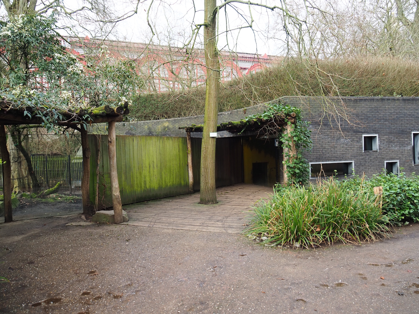 Malayan tapir house and viewing areas, 2024-02-17