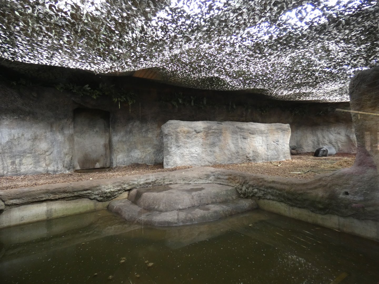 Malayan tapir indoor enclosure