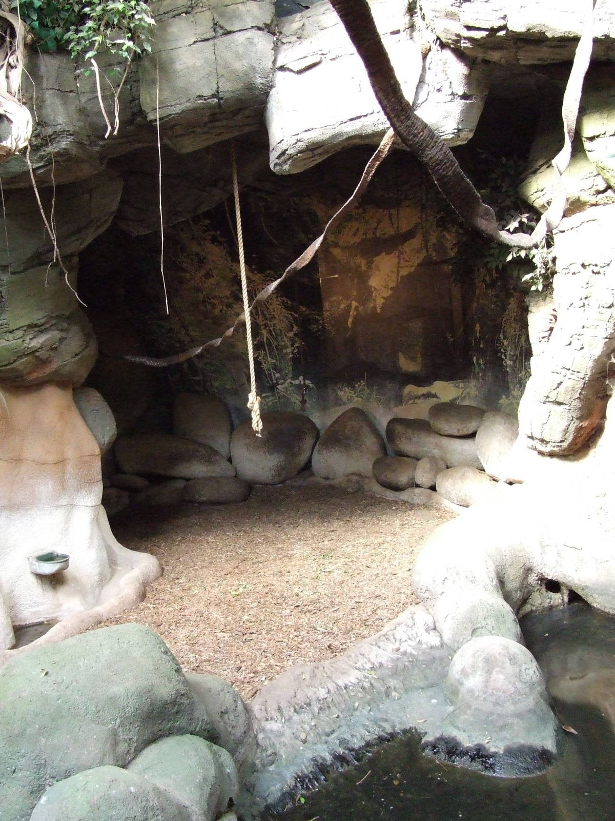 Malayan Tapir indoor exhibit