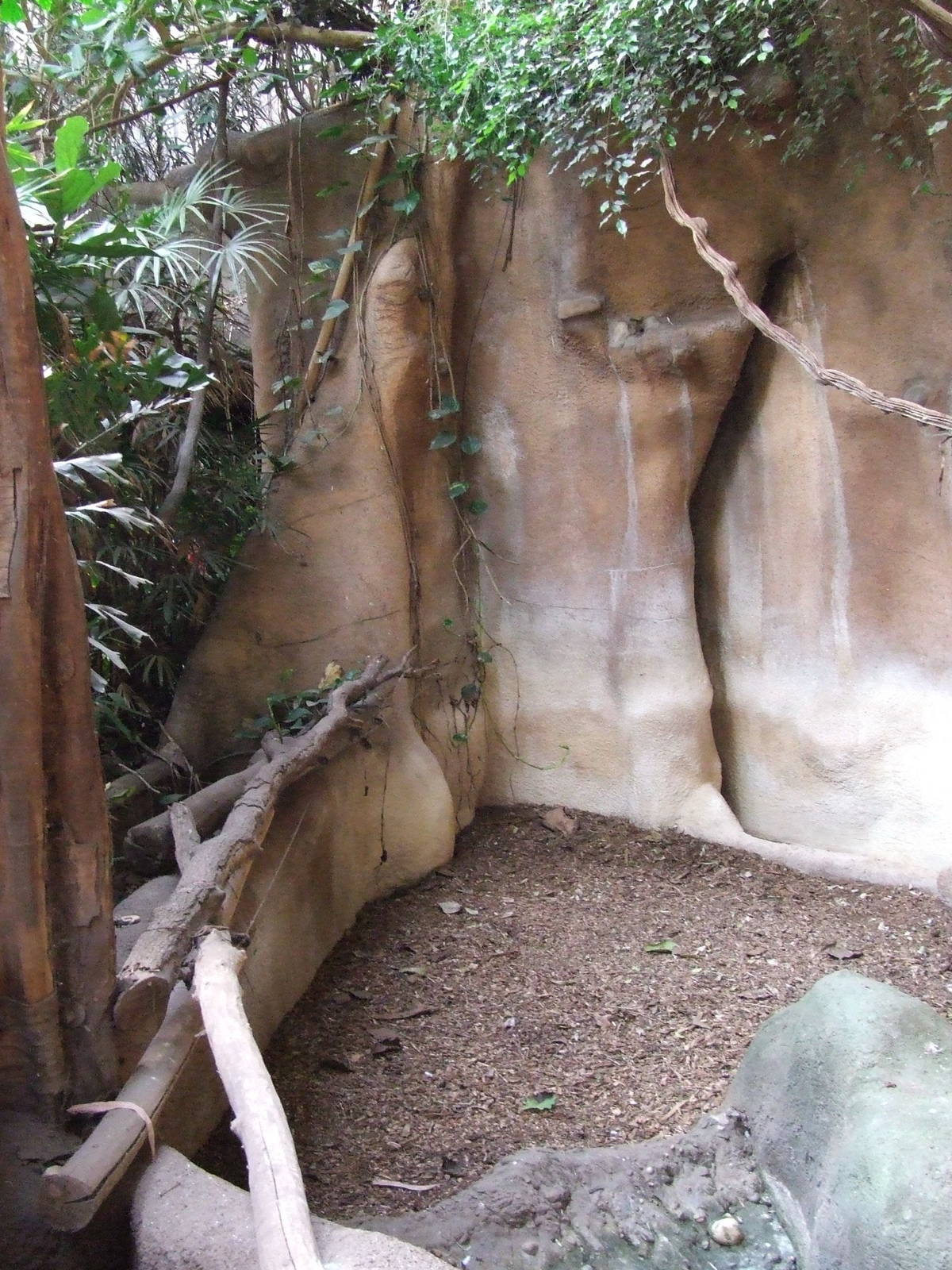 Malayan Tapir indoor exhibit