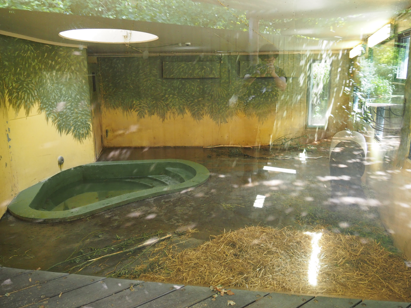 Malayan tapir indoor housing, 2020-06-28