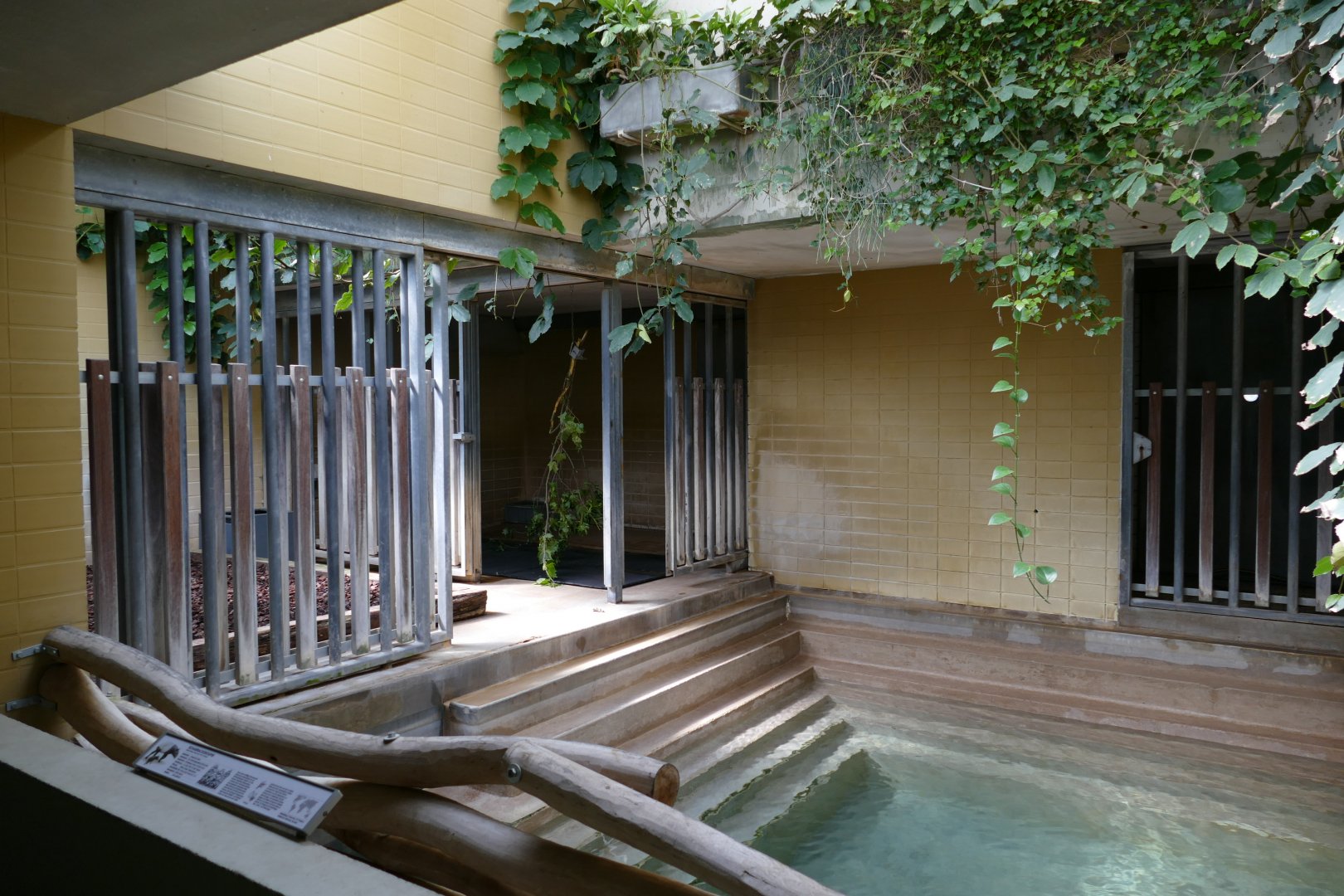 Malayan Tapir Indoor Pool