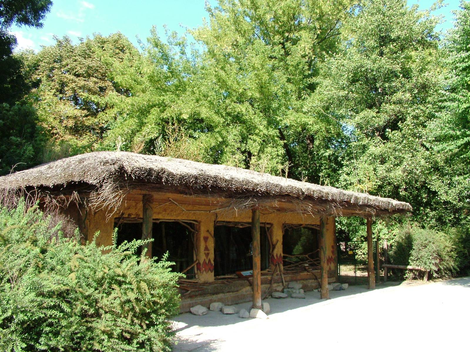 Malayan Tapir Indoor Viewing at Prague, 25/08/12