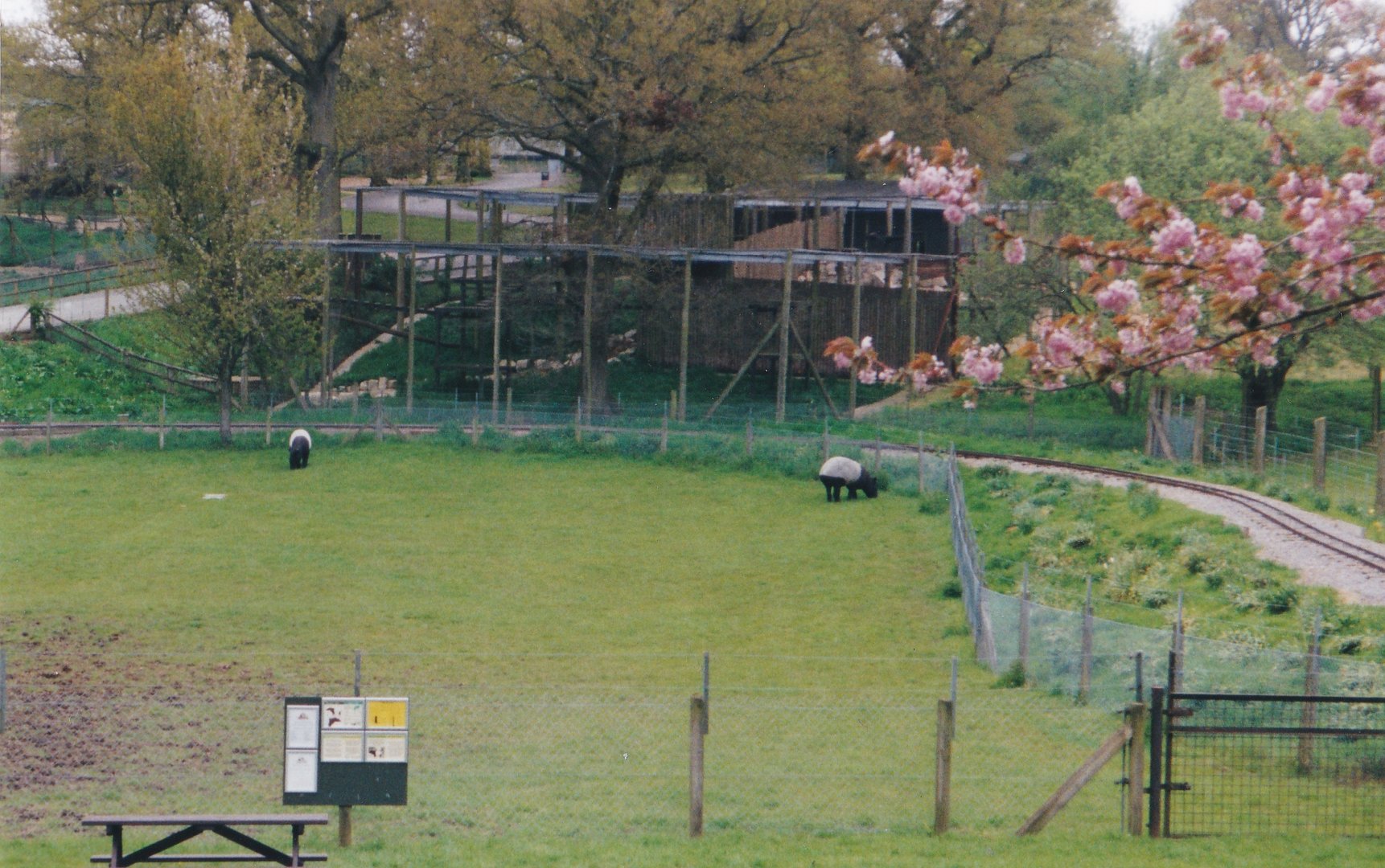 Malayan Tapir & Jaguar Enclosures