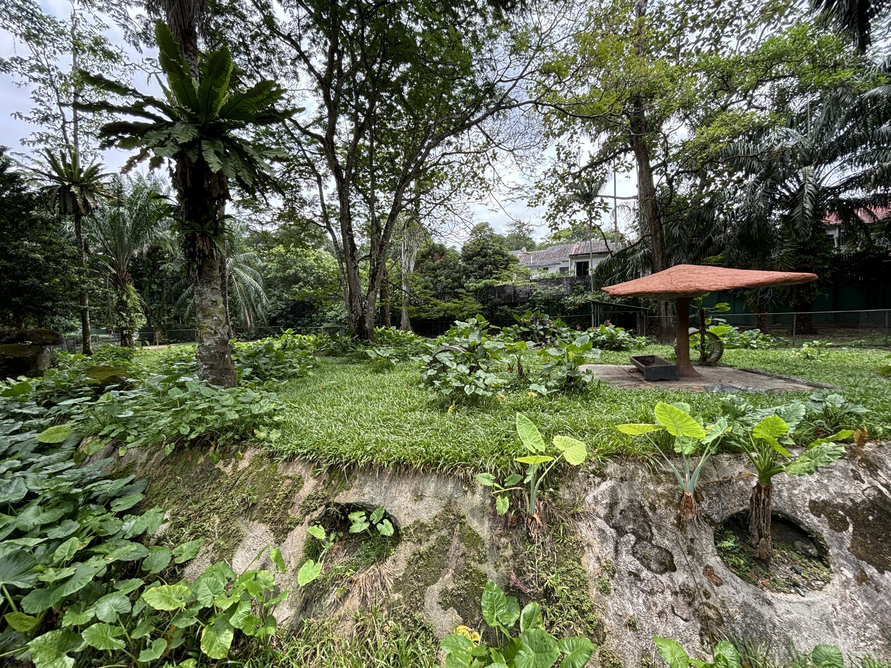 Malayan Tapir/Nyala/Barking Deer Exhibit