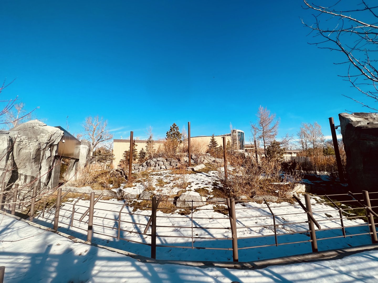 Malayan Tapir Outdoor Exhibit