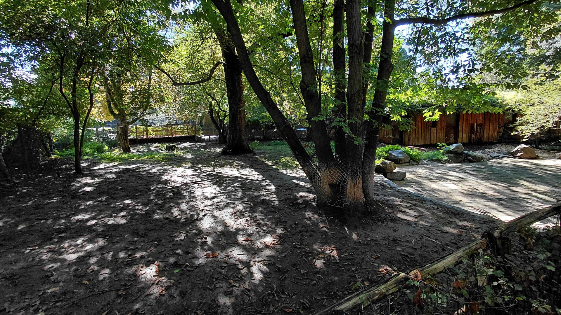 Malayan tapir outdoor exhibit