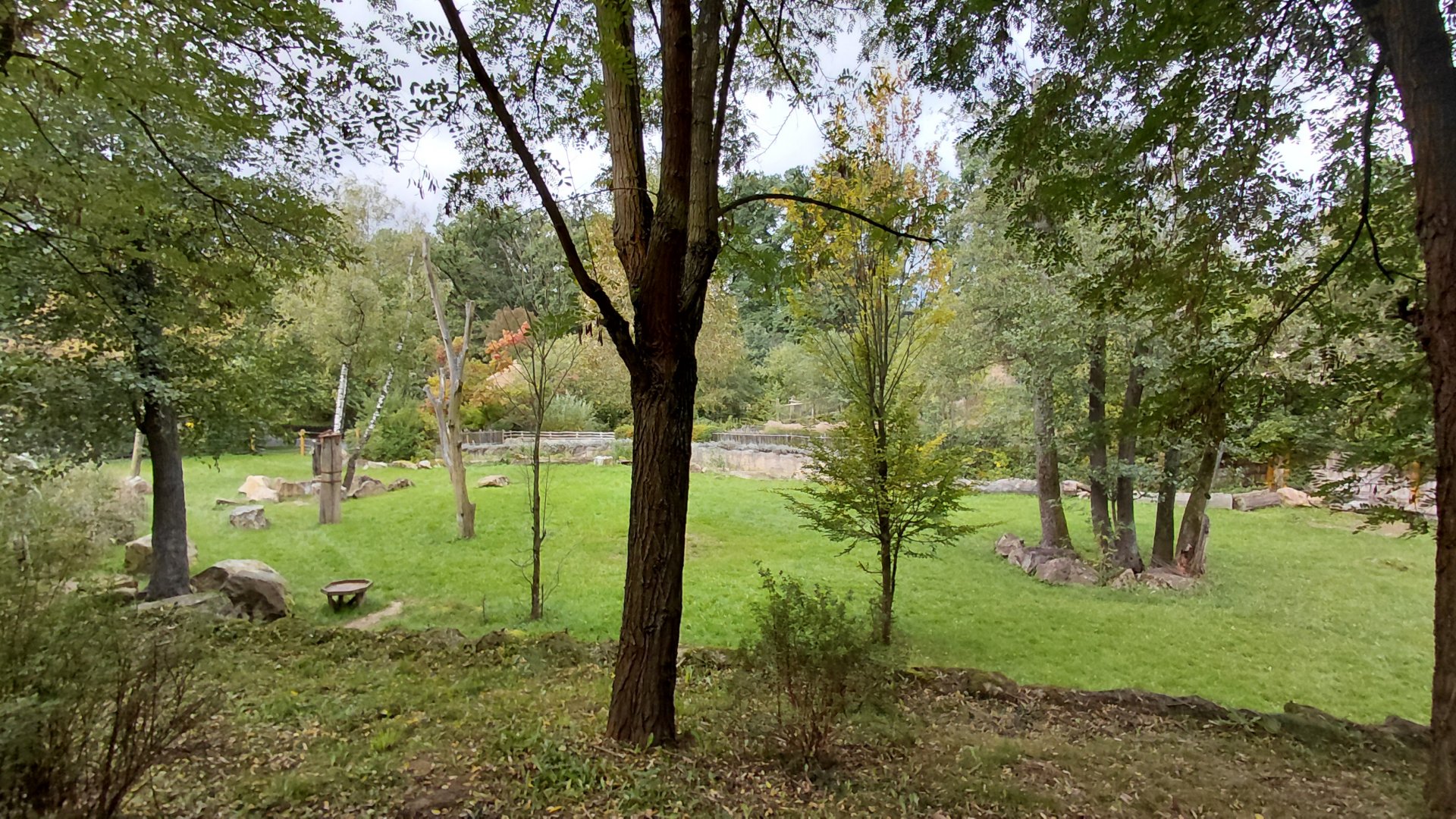 Malayan tapir outdoor exhibit