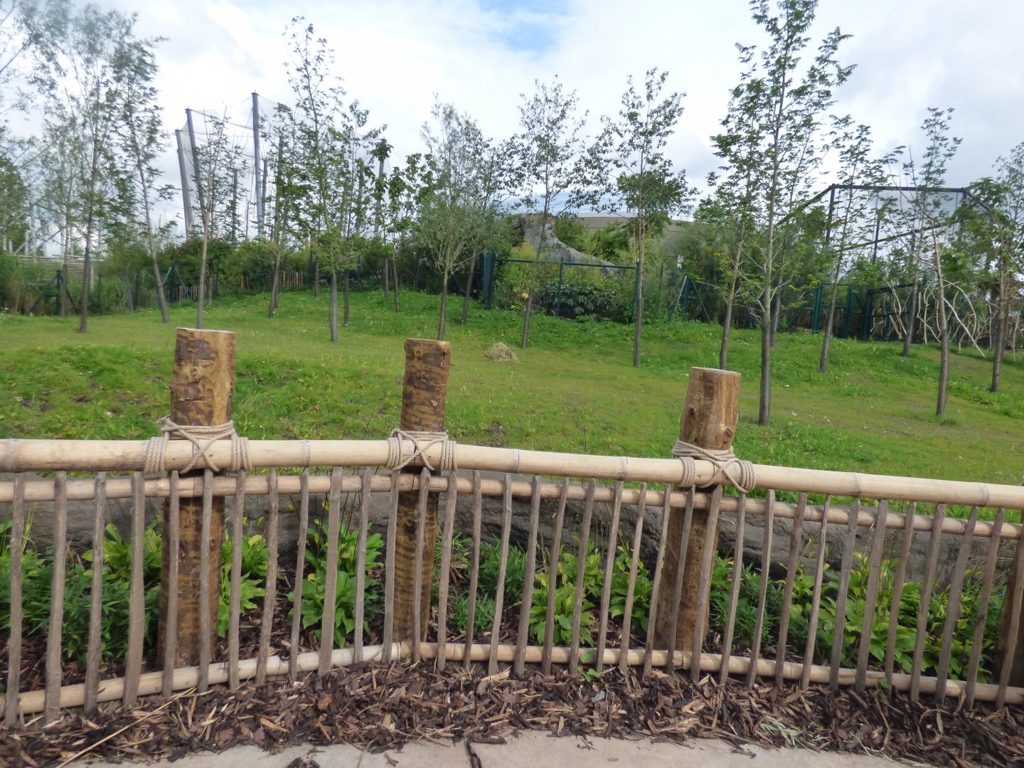 Malayan Tapir Outdoor Viewing Area