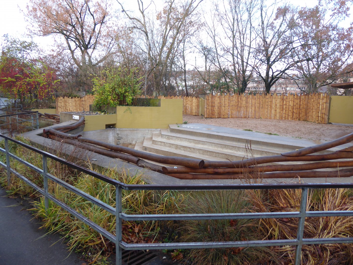 Malayan tapir outdoors 011218