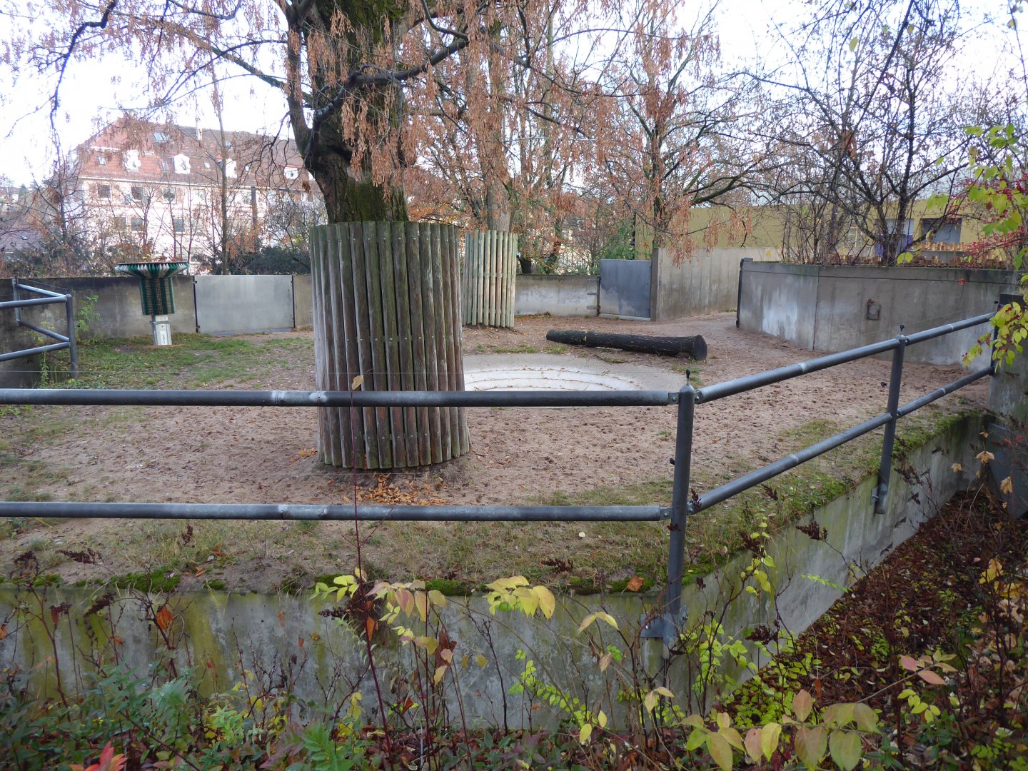 Malayan tapir outdoors 011218