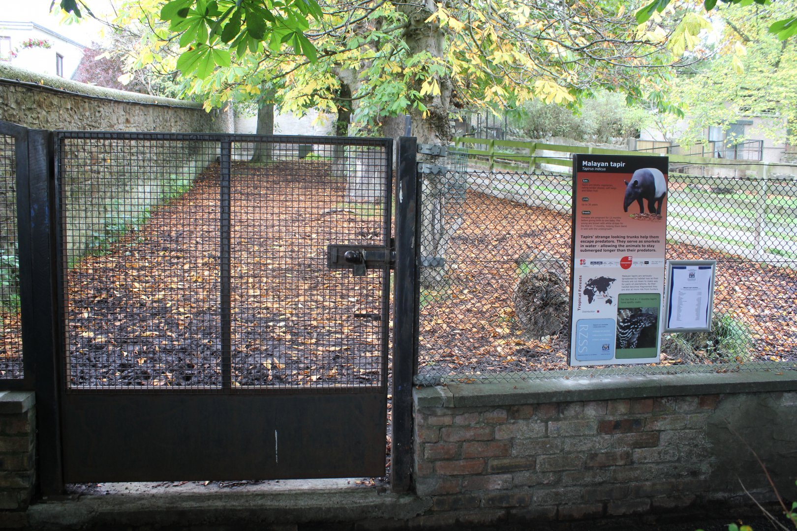 Malayan Tapir Paddock 1 of 2 - Edinburgh Zoo