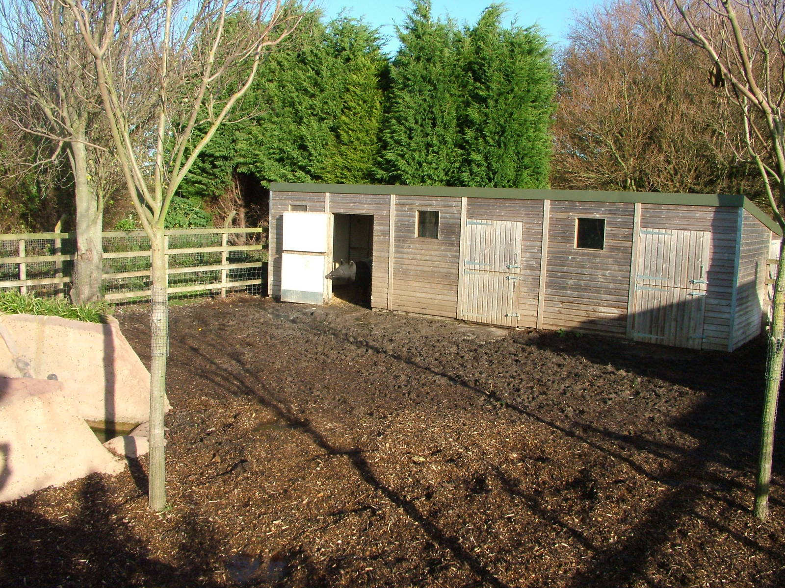 Malayan Tapir paddock at the RSCC 28/11/09