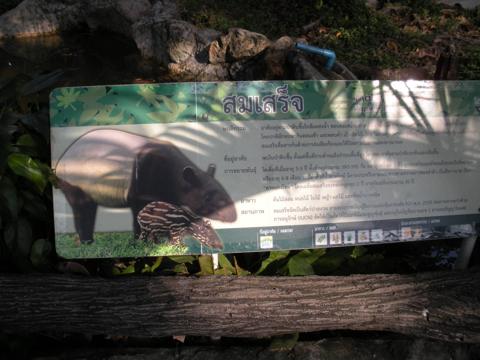 Malayan Tapir signage