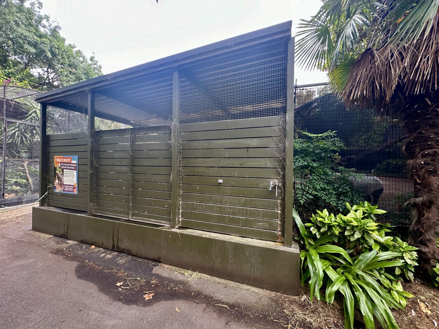 Malayan Tapir Stable
