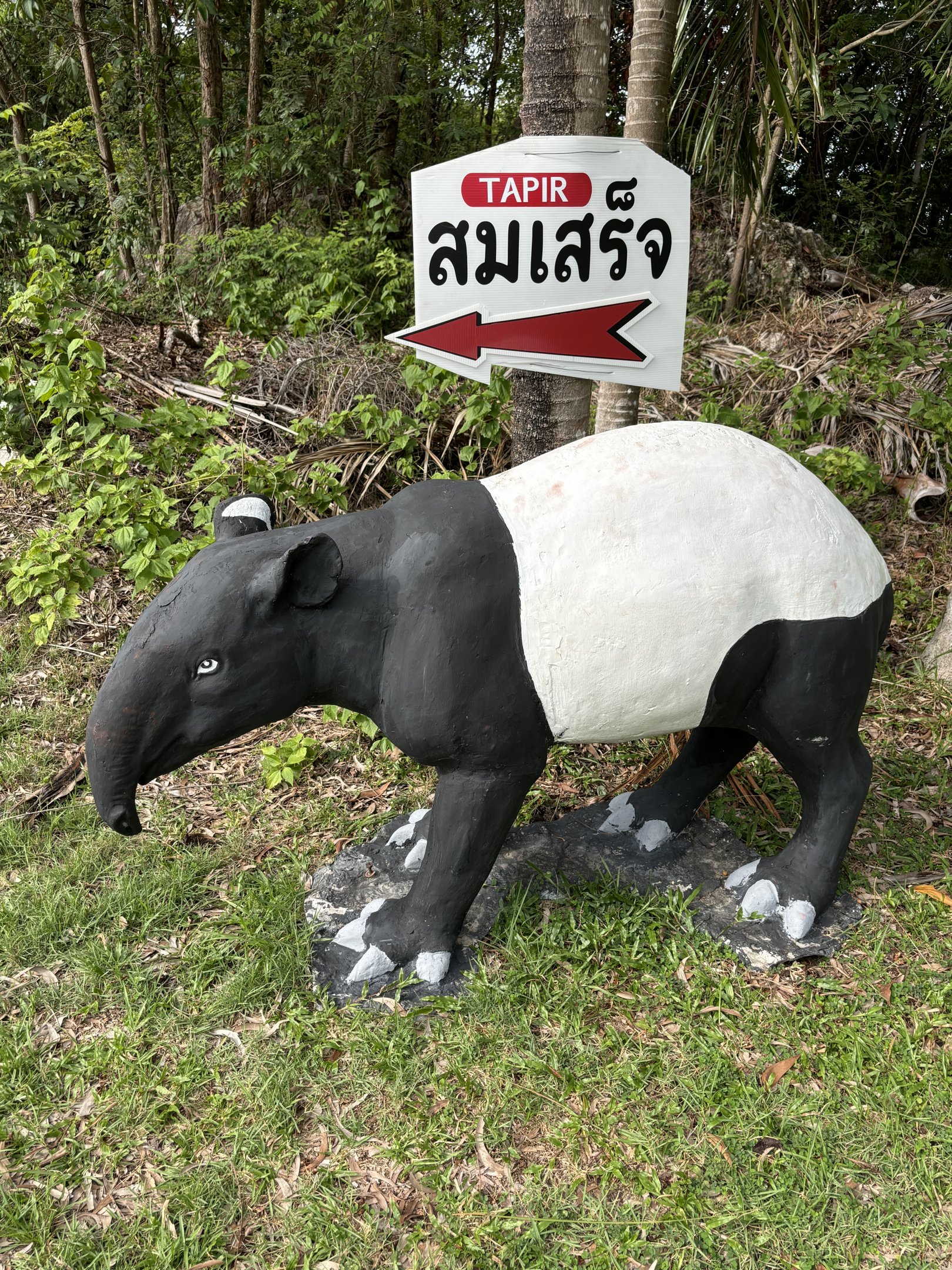 Malayan Tapir Statue