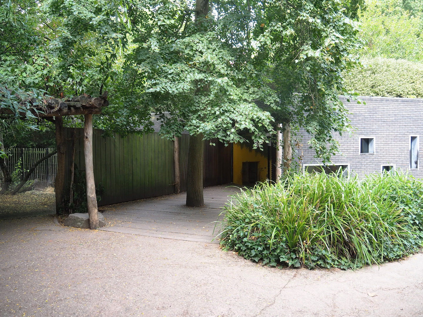 Malayan tapir viewing areas, 2022-08-16