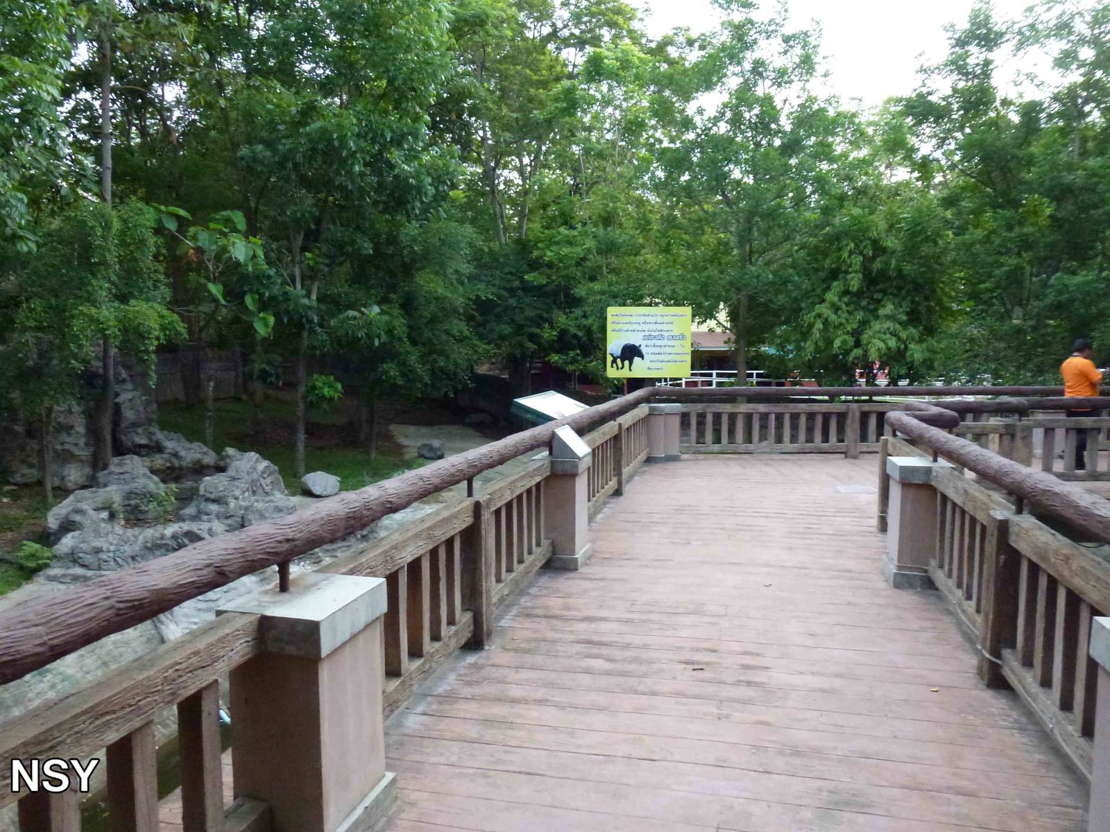 Malayan tapir walkway, June 2013.
