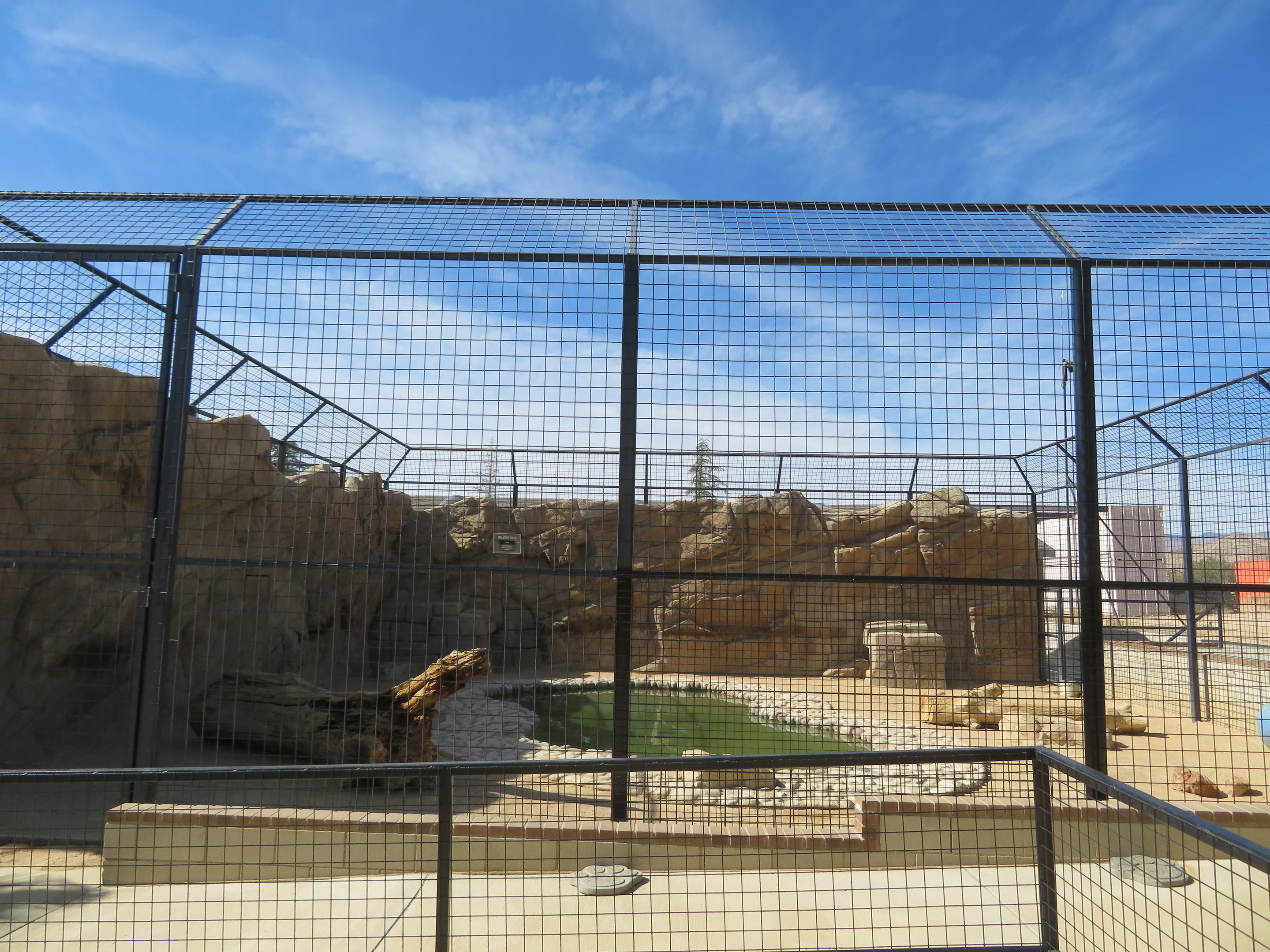 Malayan Tiger Enclosure (2022)