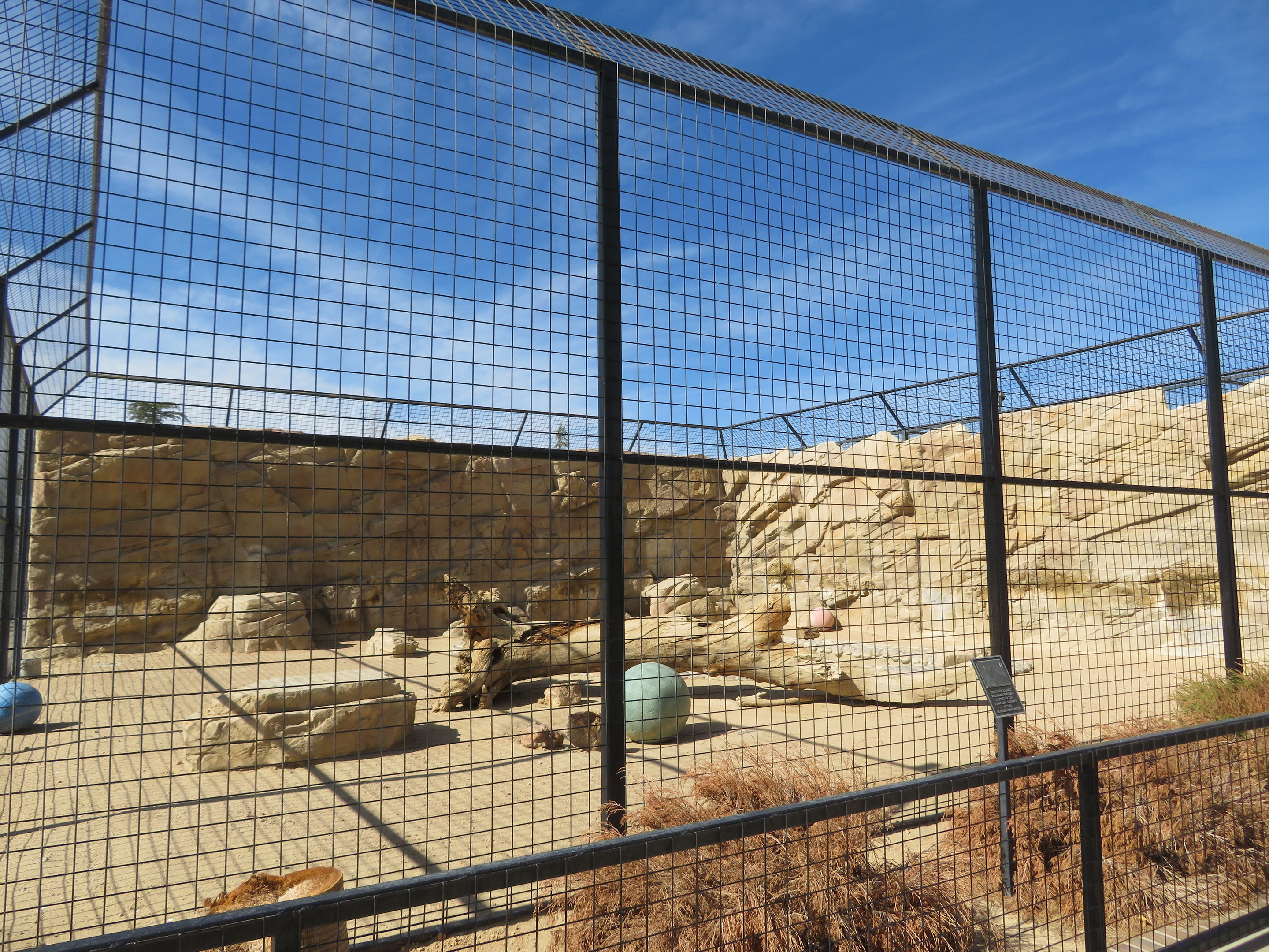 Malayan Tiger Enclosure (2022)