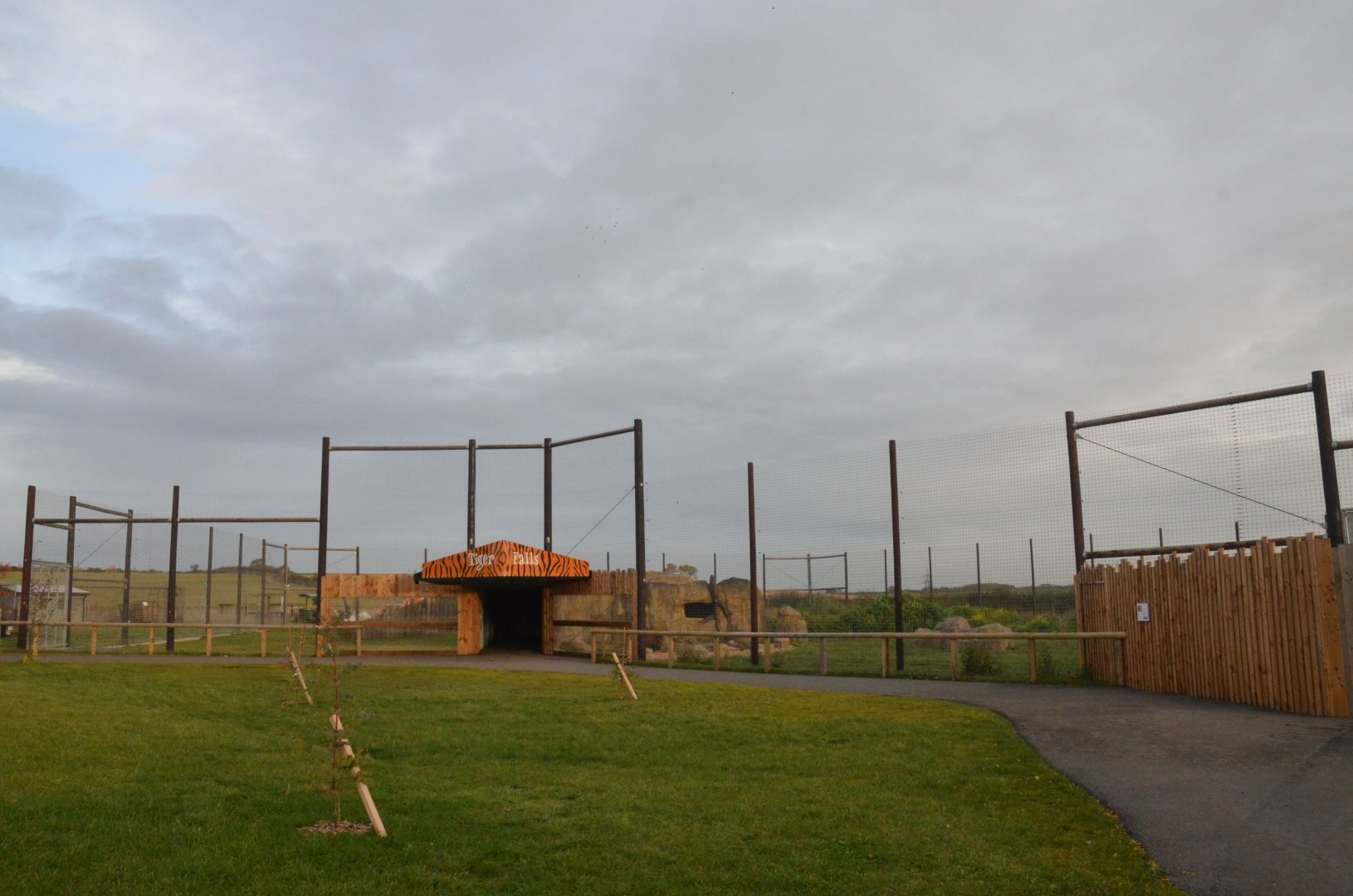 Malayan Tiger Enclosure at Hamerton, 19/11/16