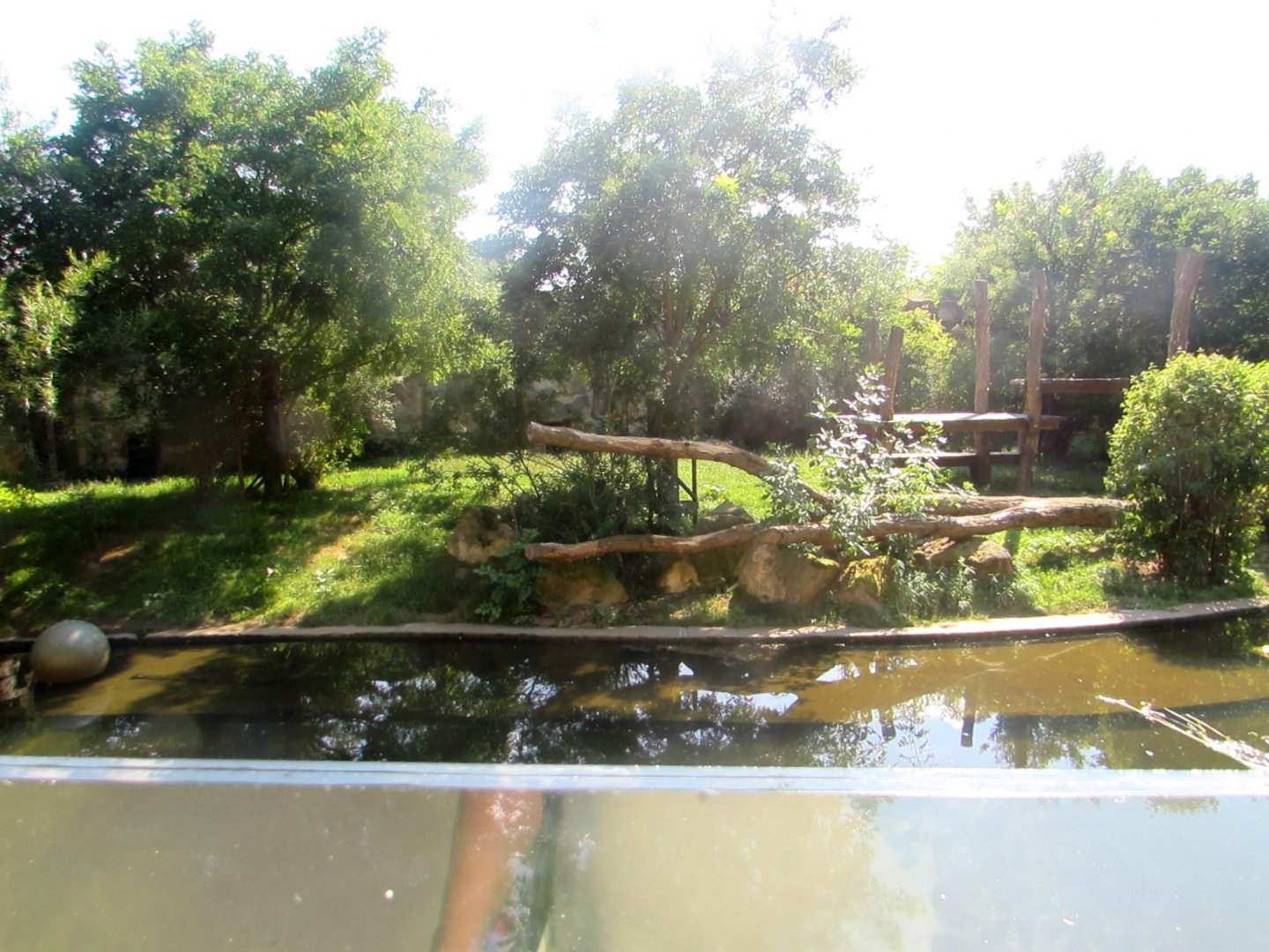 Malayan Tiger enclosure - July/2017